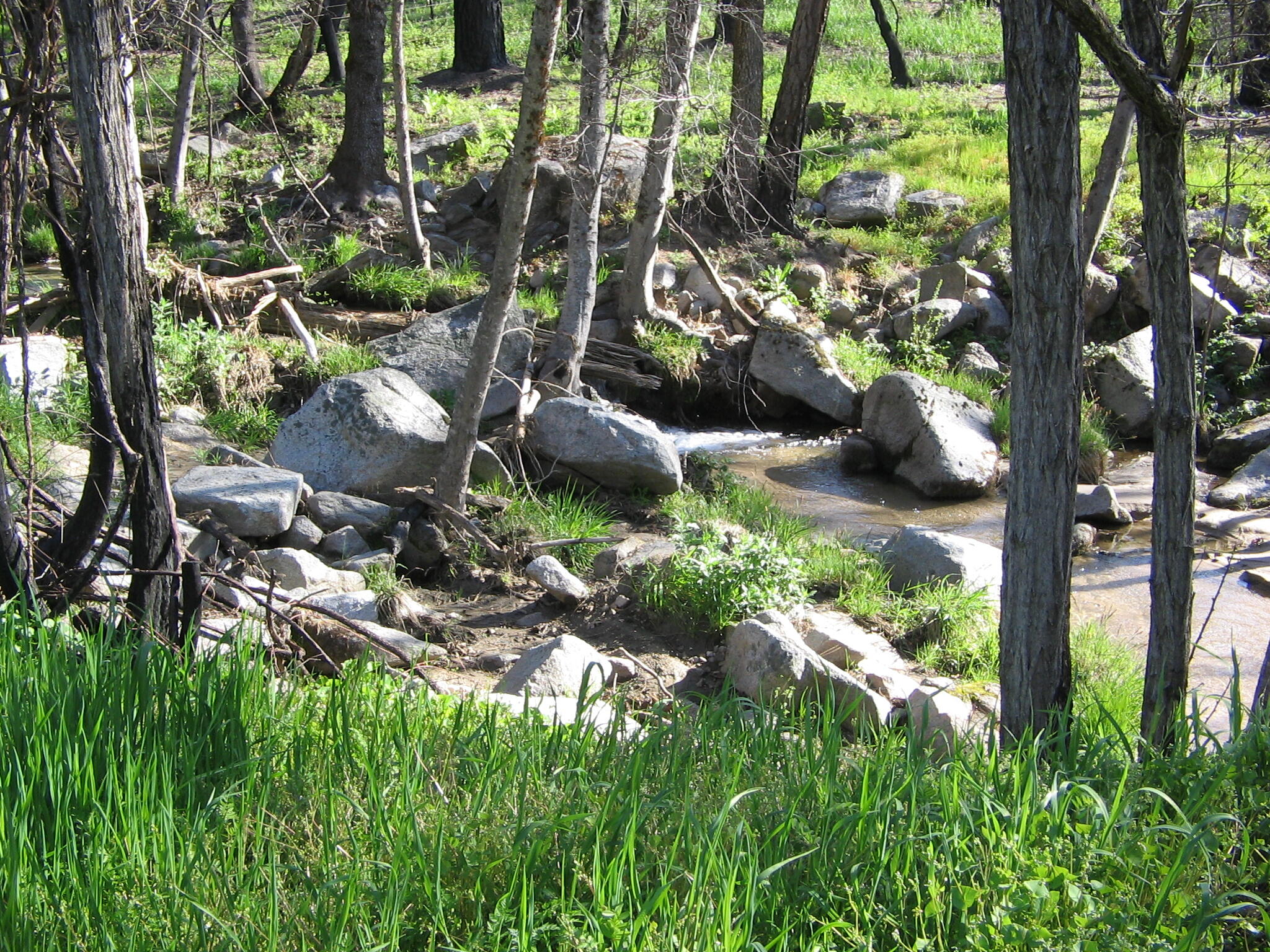 6949 Rector Creek Road