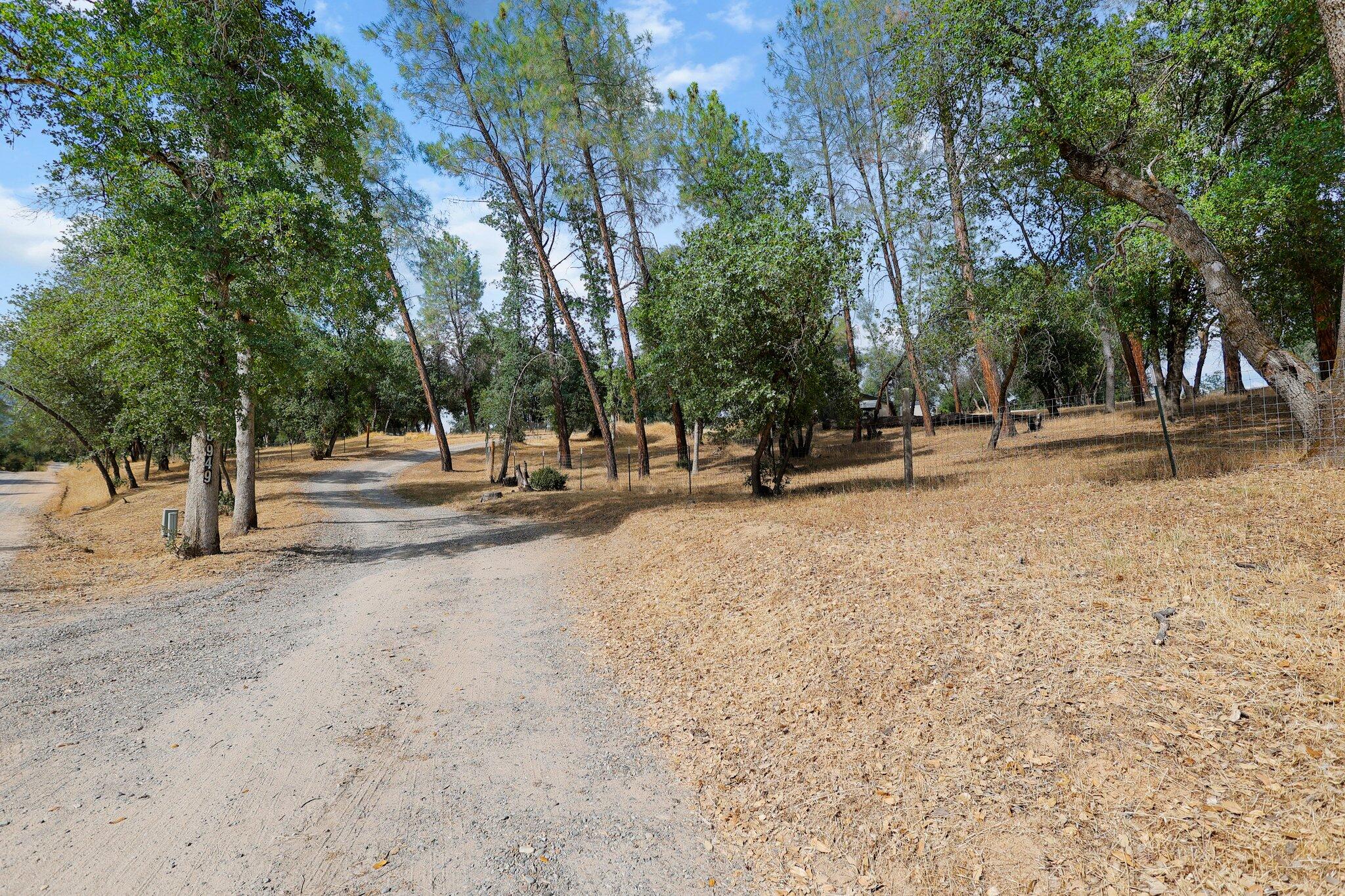 6949 Rector Creek Road