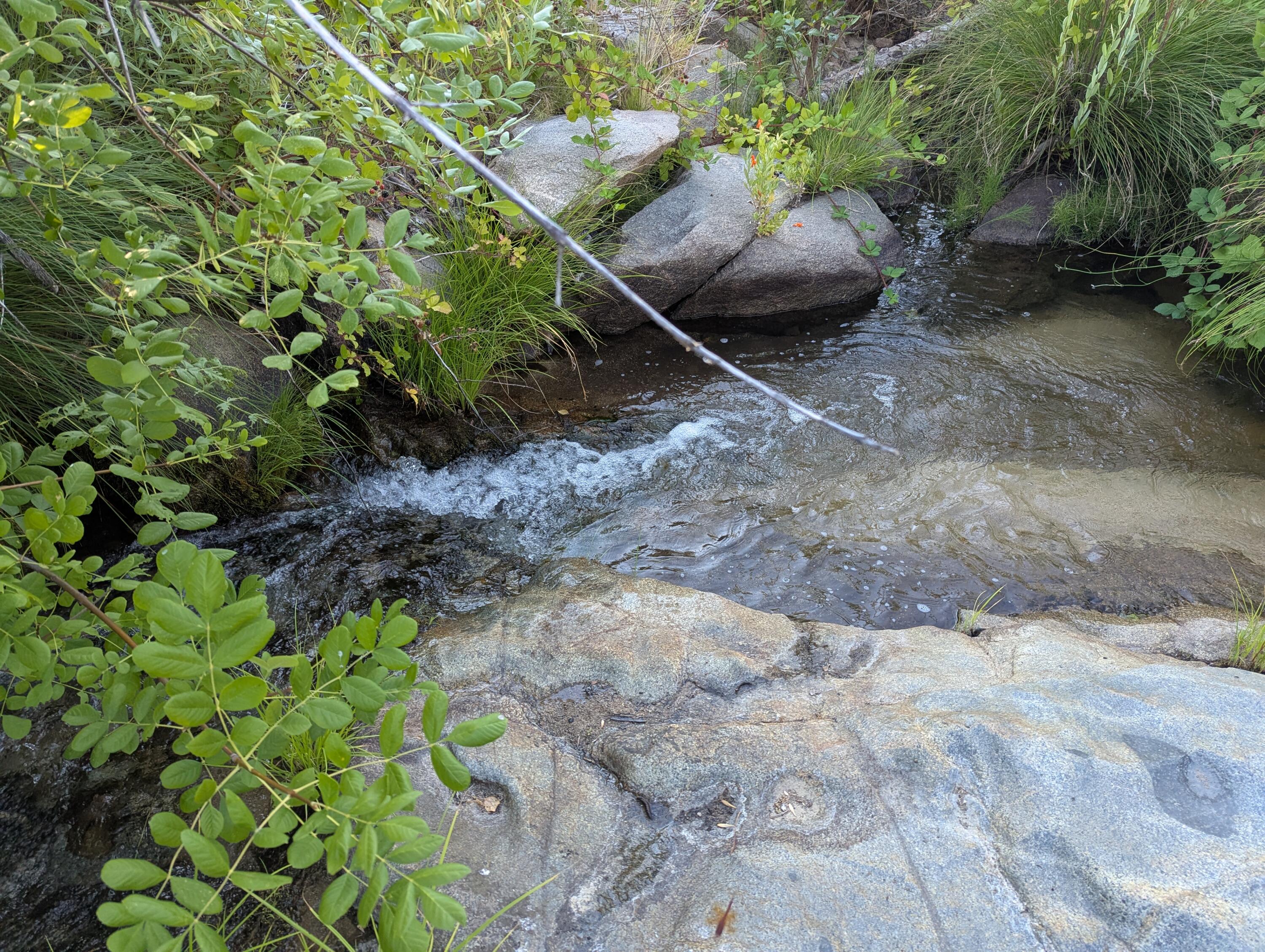 6949 Rector Creek Road