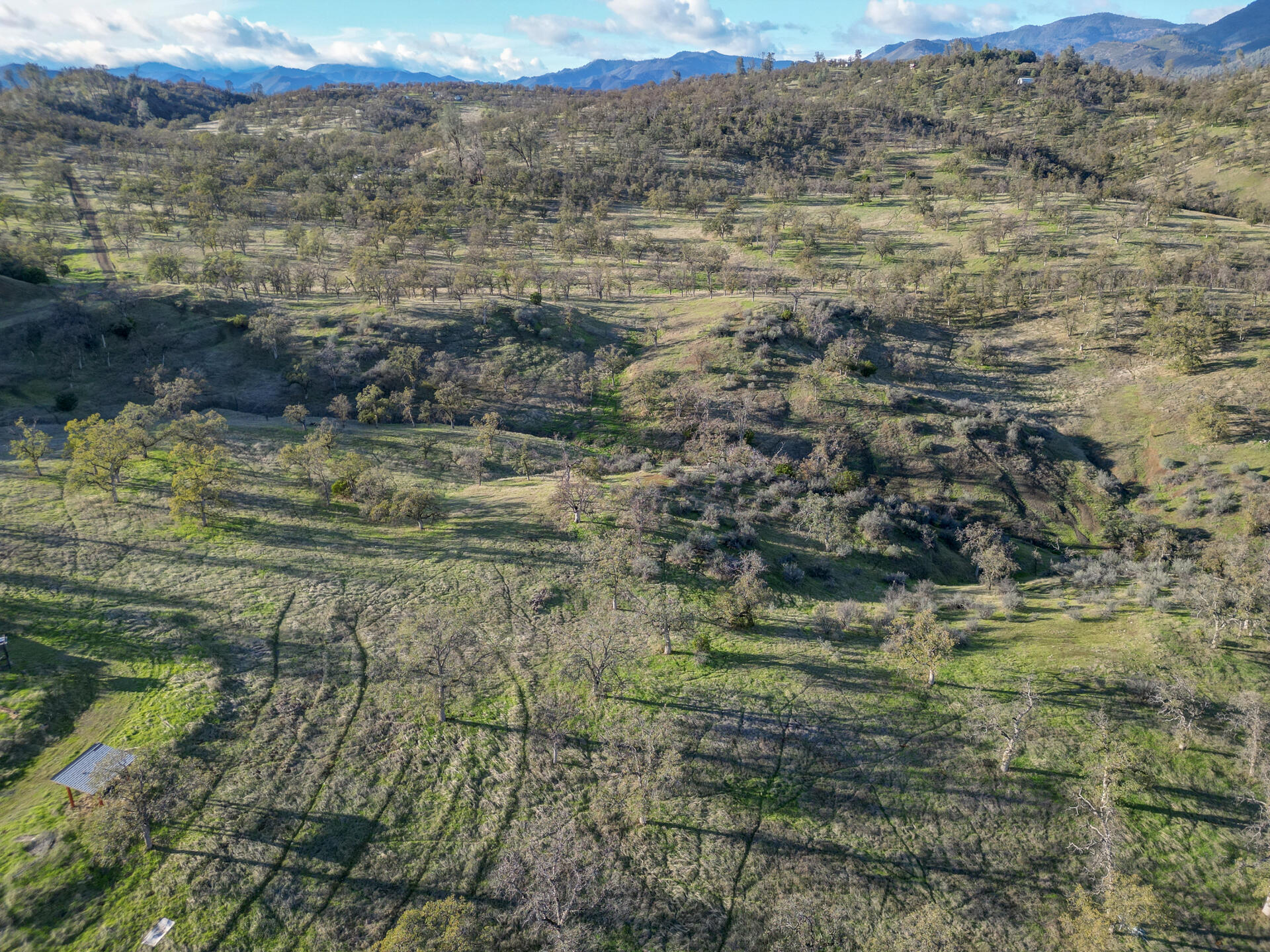 0000 Straight Arrow Road