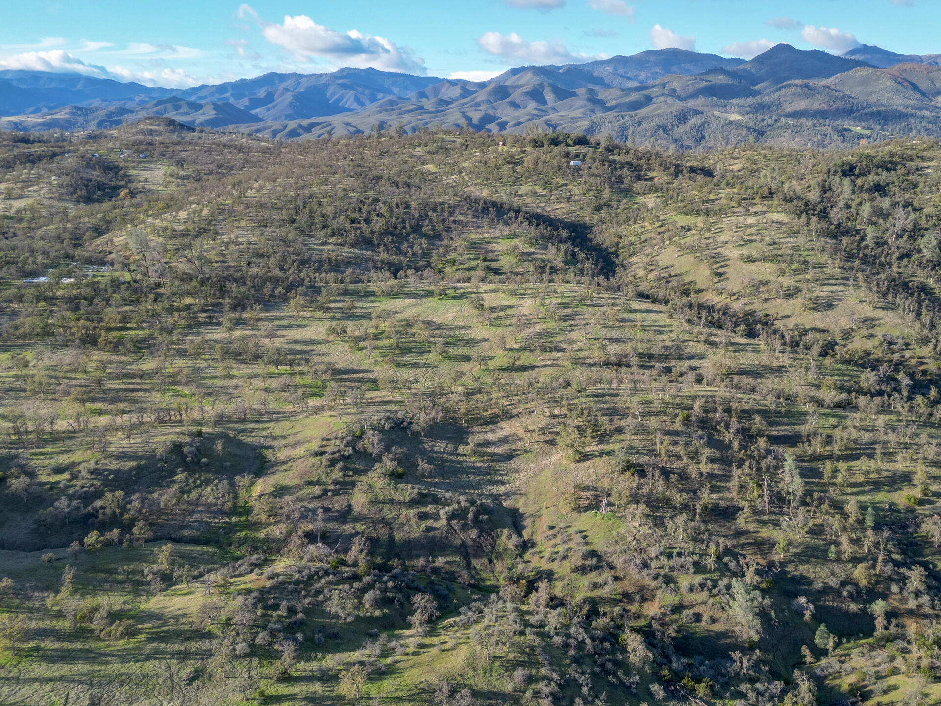 0000 Straight Arrow Road