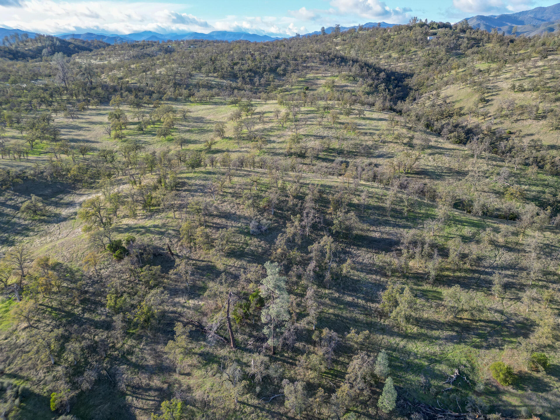 0000 Straight Arrow Road