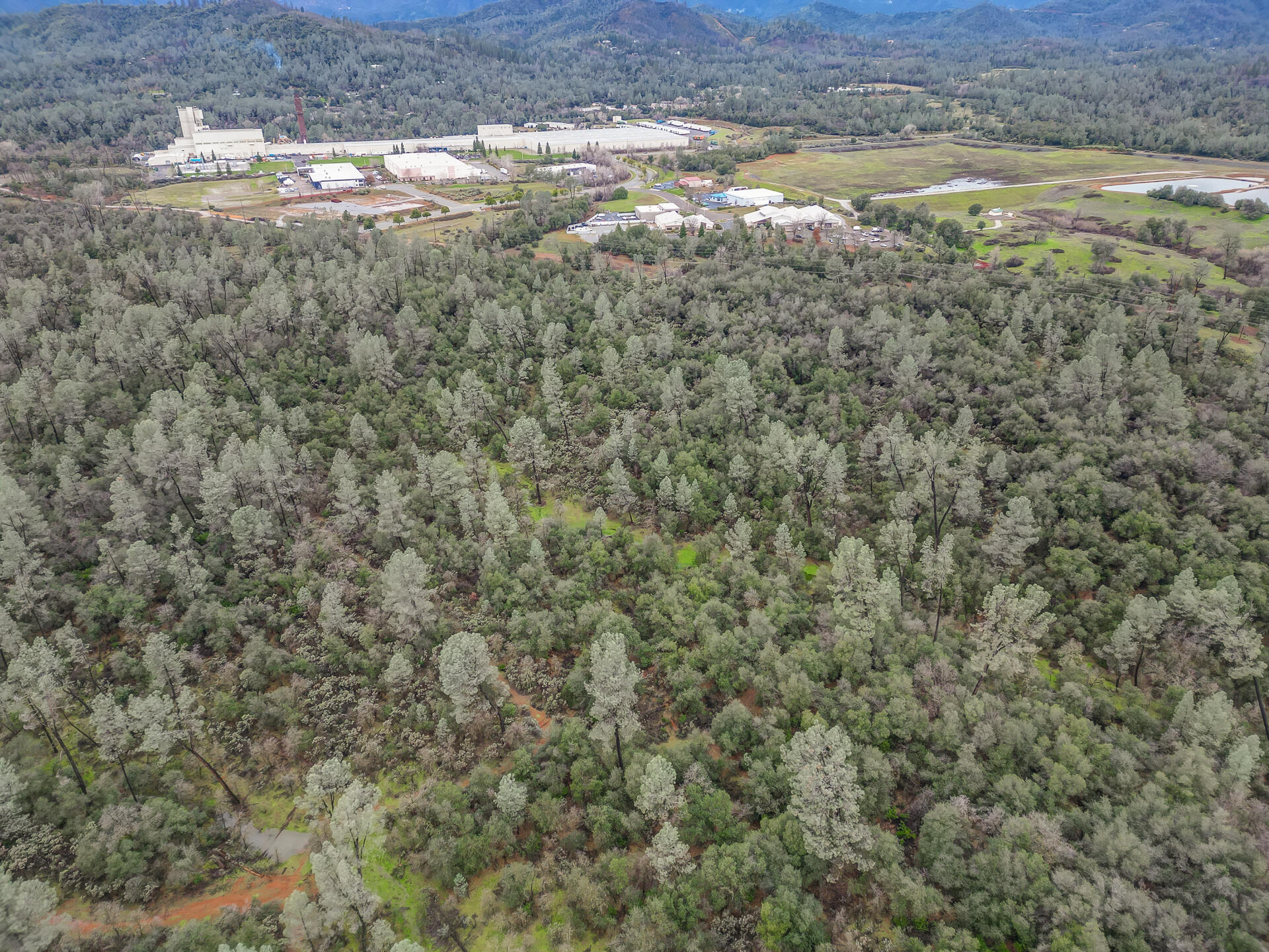 Shasta Gateway Drive