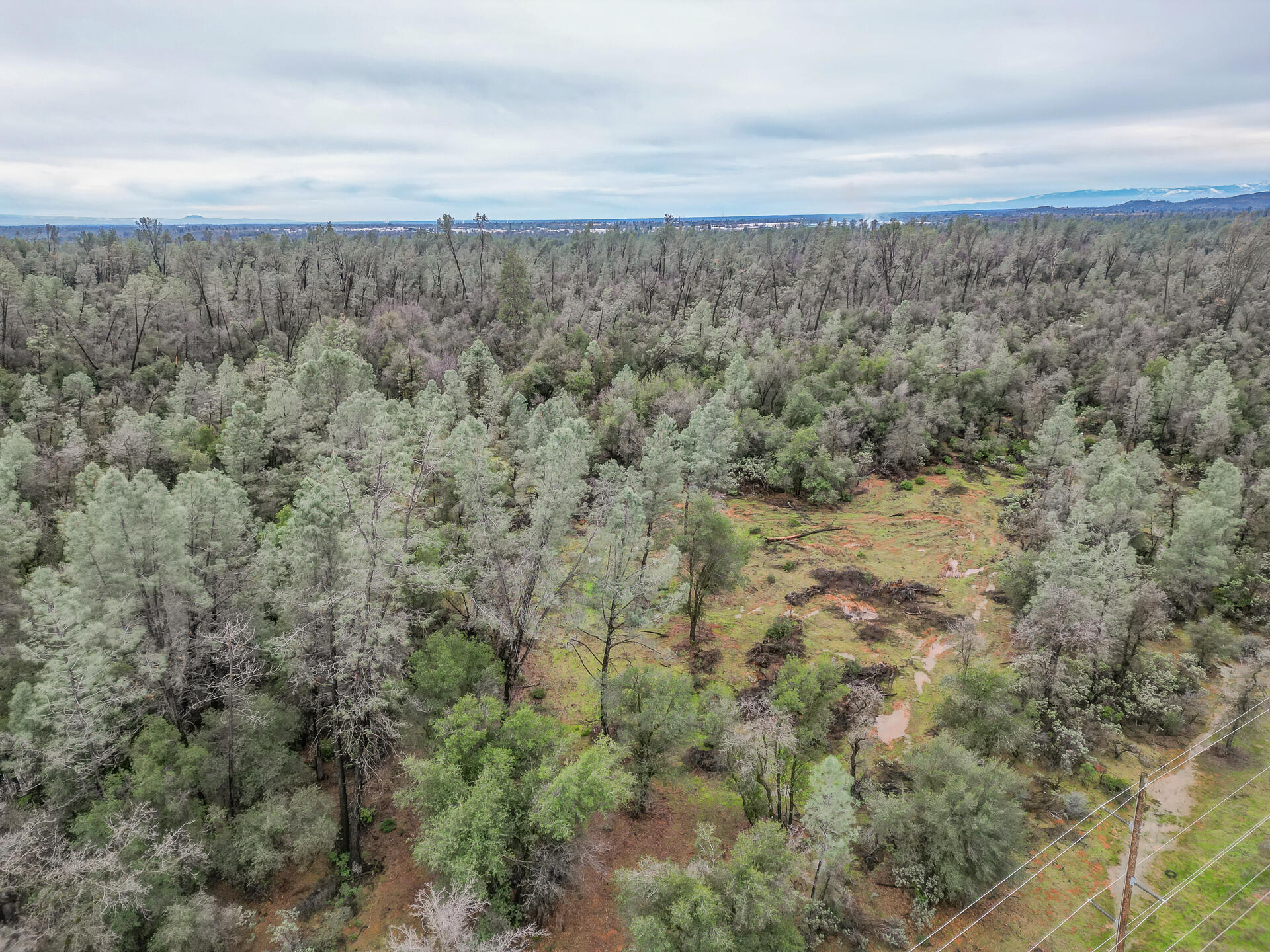 Shasta Gateway Drive