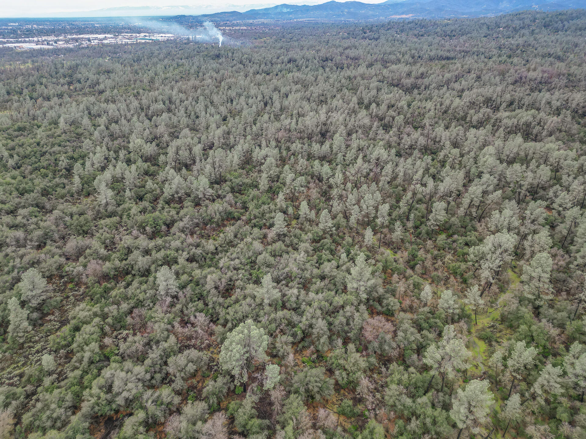 Shasta Gateway Drive