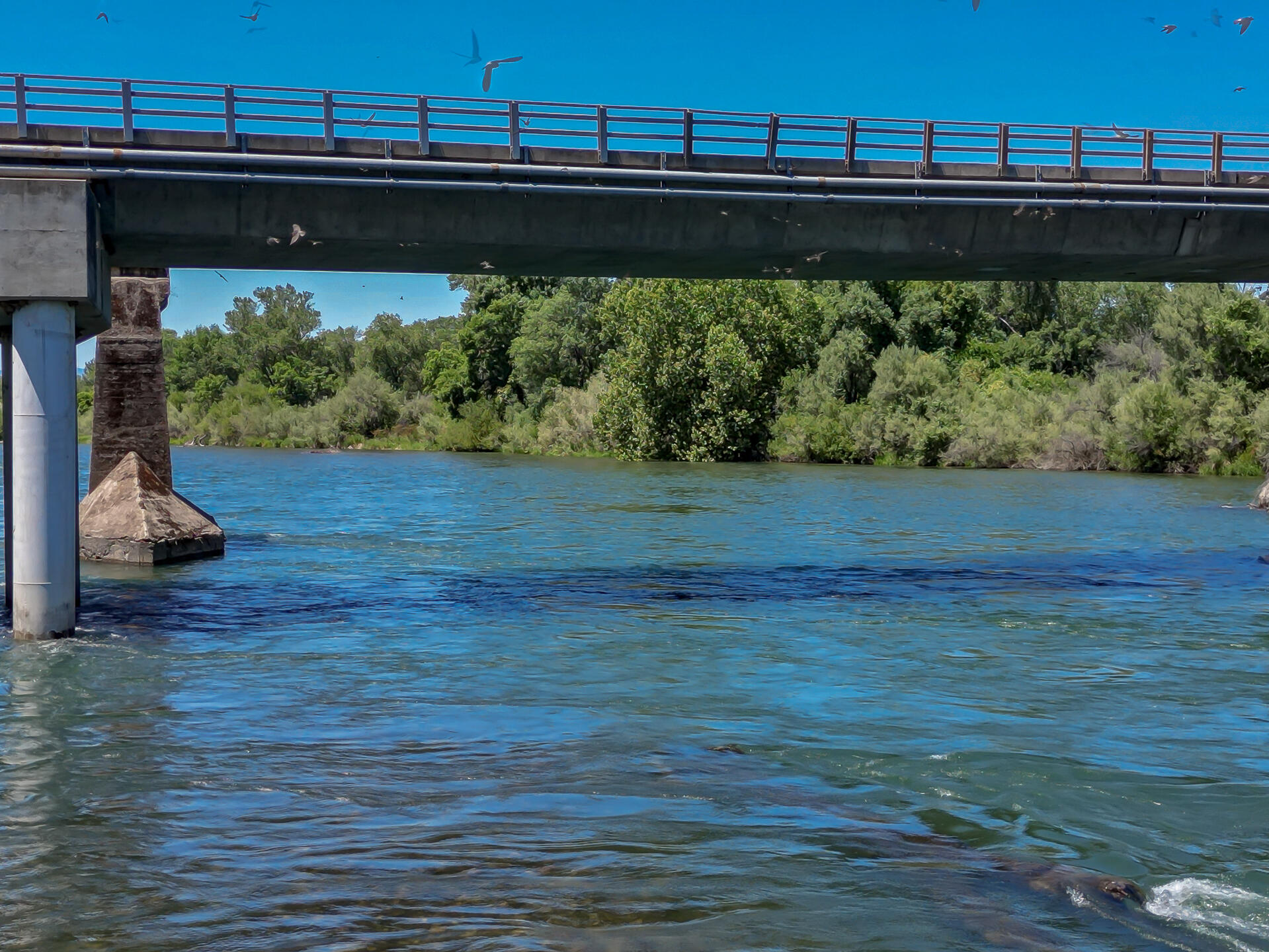 Deschutes