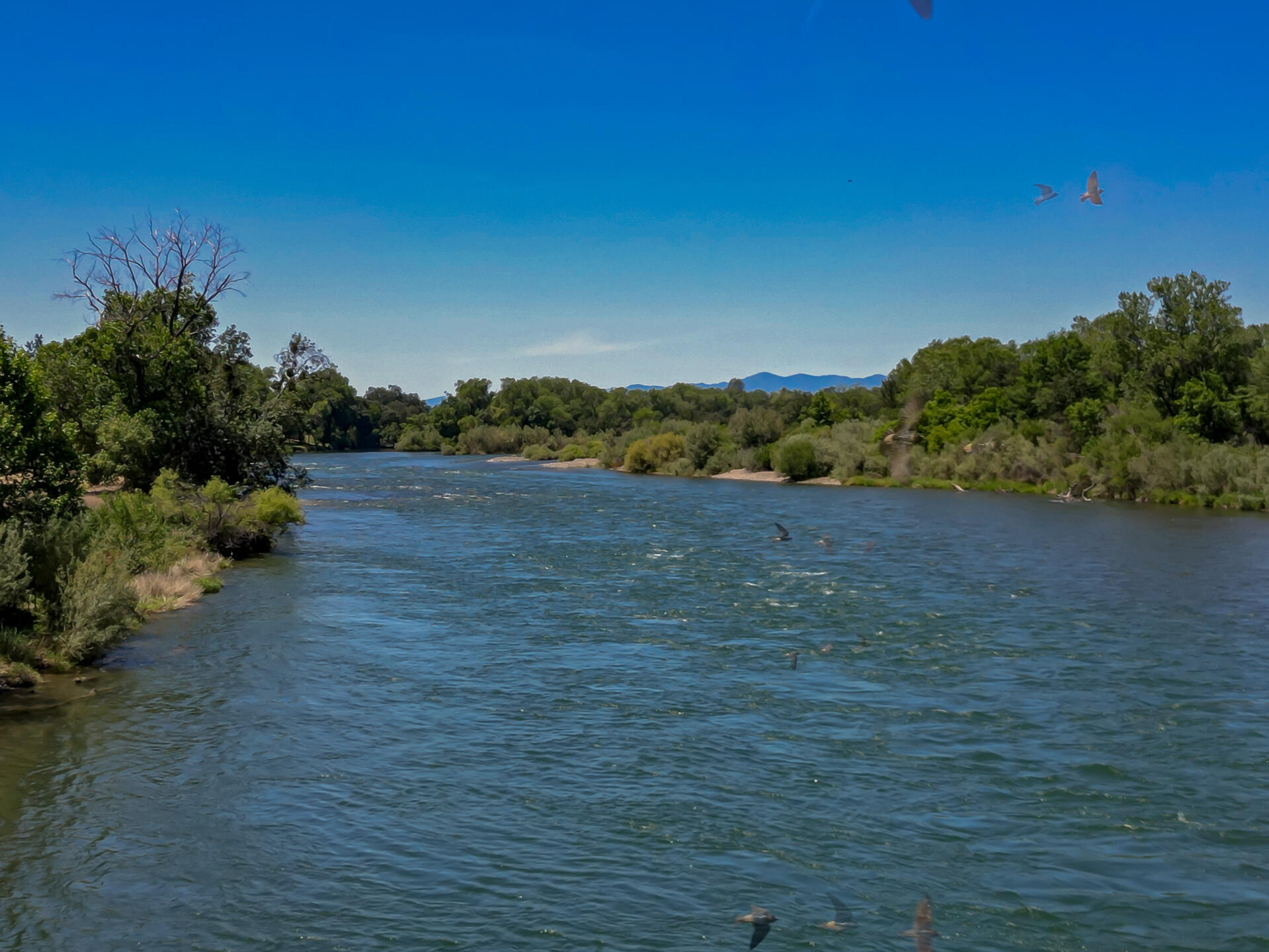 Deschutes