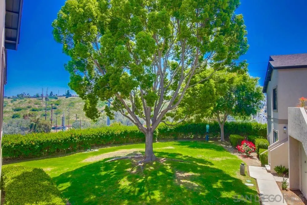 3646 Avocado Village Ct # 78