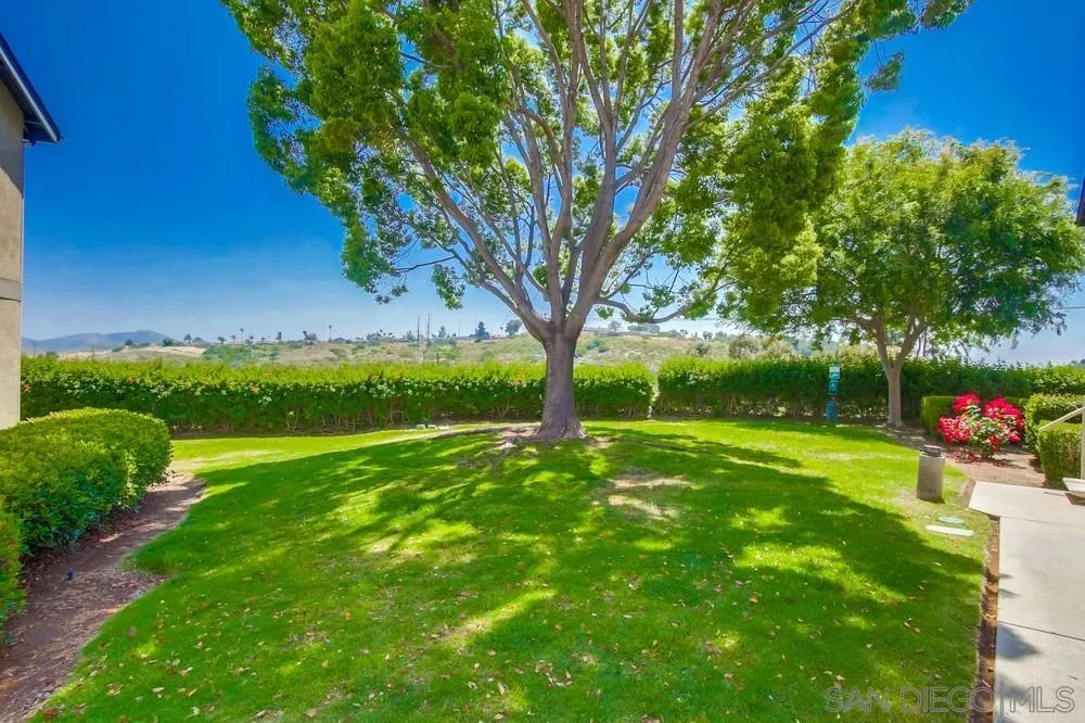 3646 Avocado Village Ct # 78