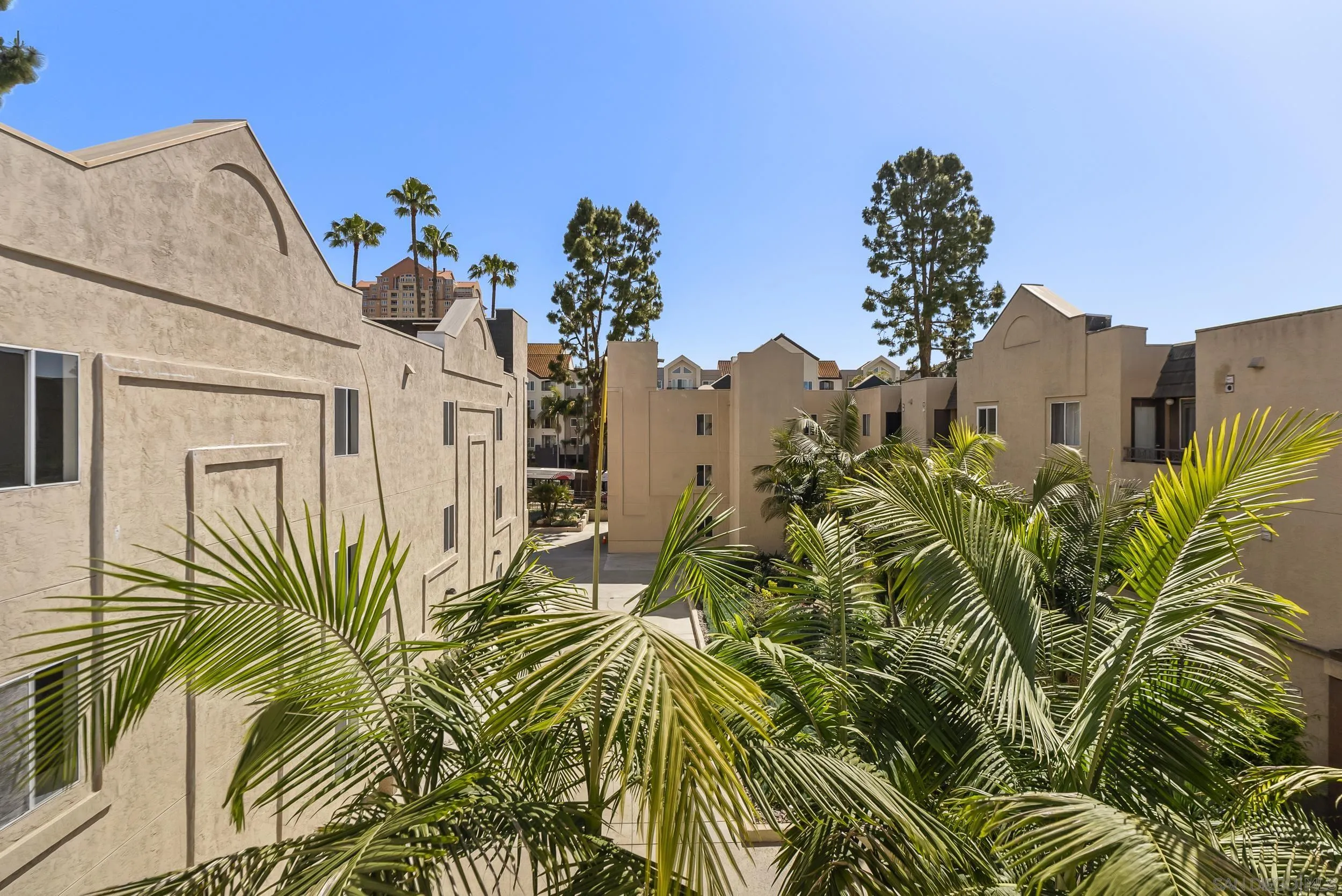 3440 Lebon Dr Unit 4317