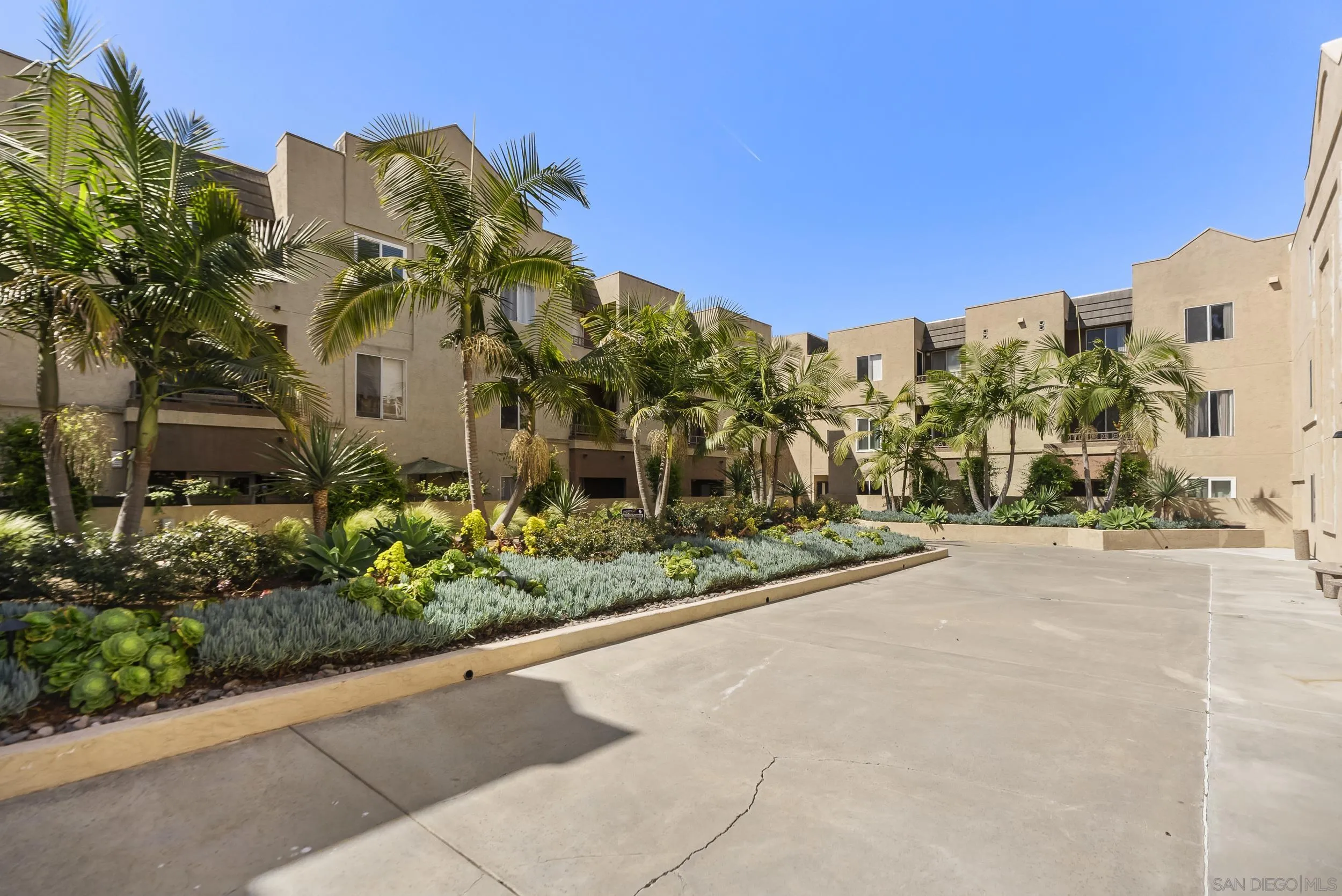 3440 Lebon Dr Unit 4317