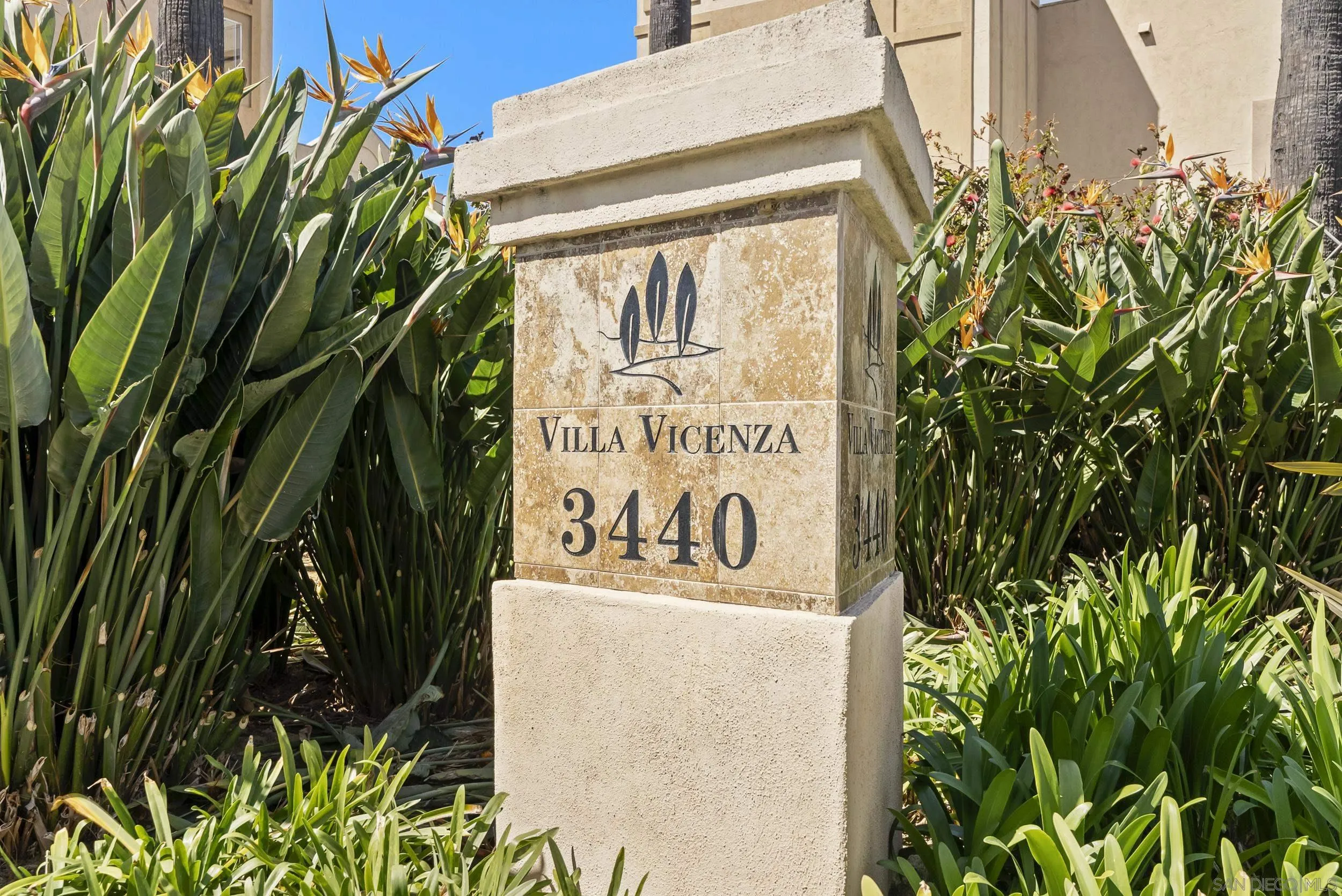 3440 Lebon Dr Unit 4317