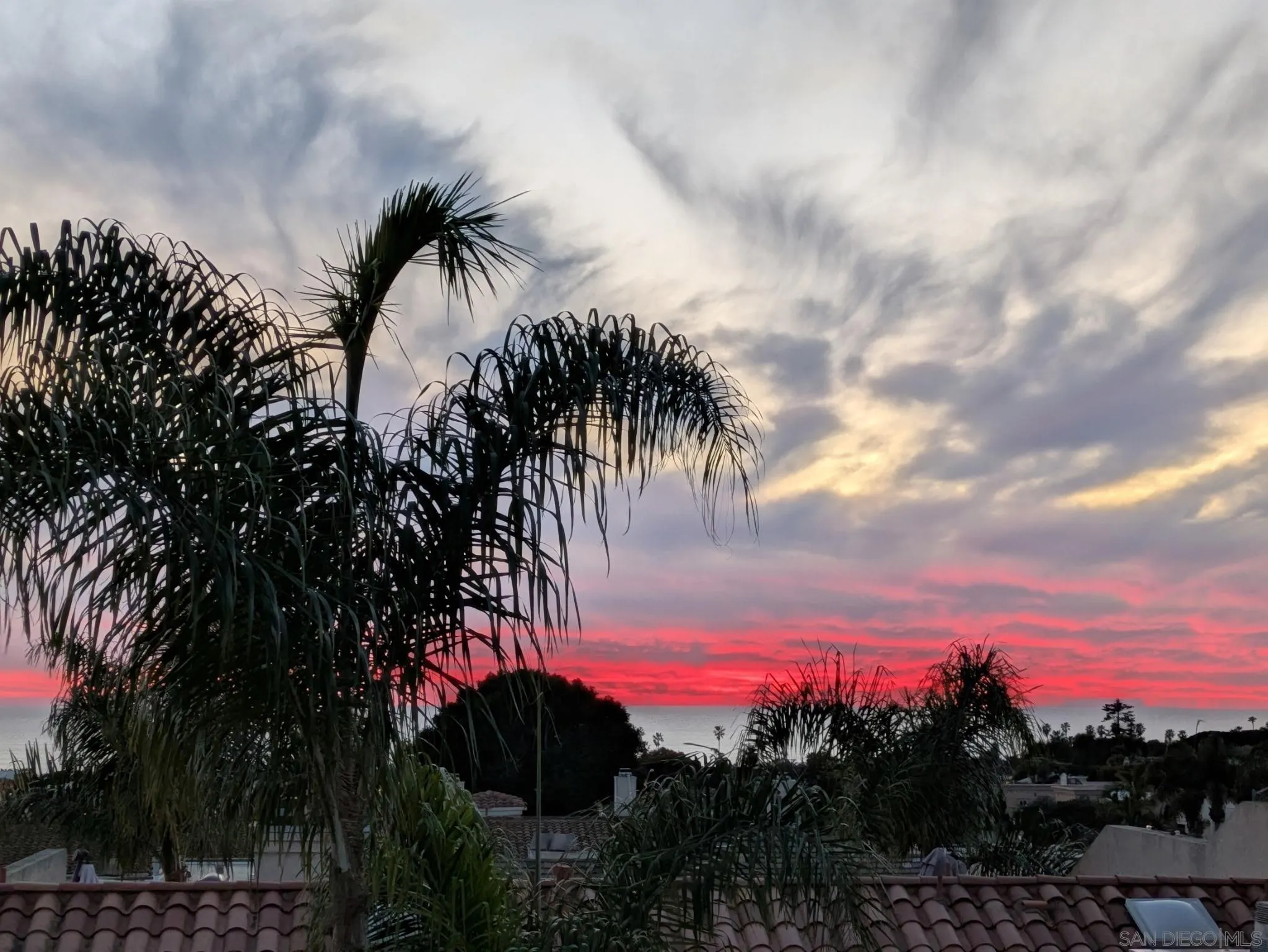 919 Agate Street Unit 5