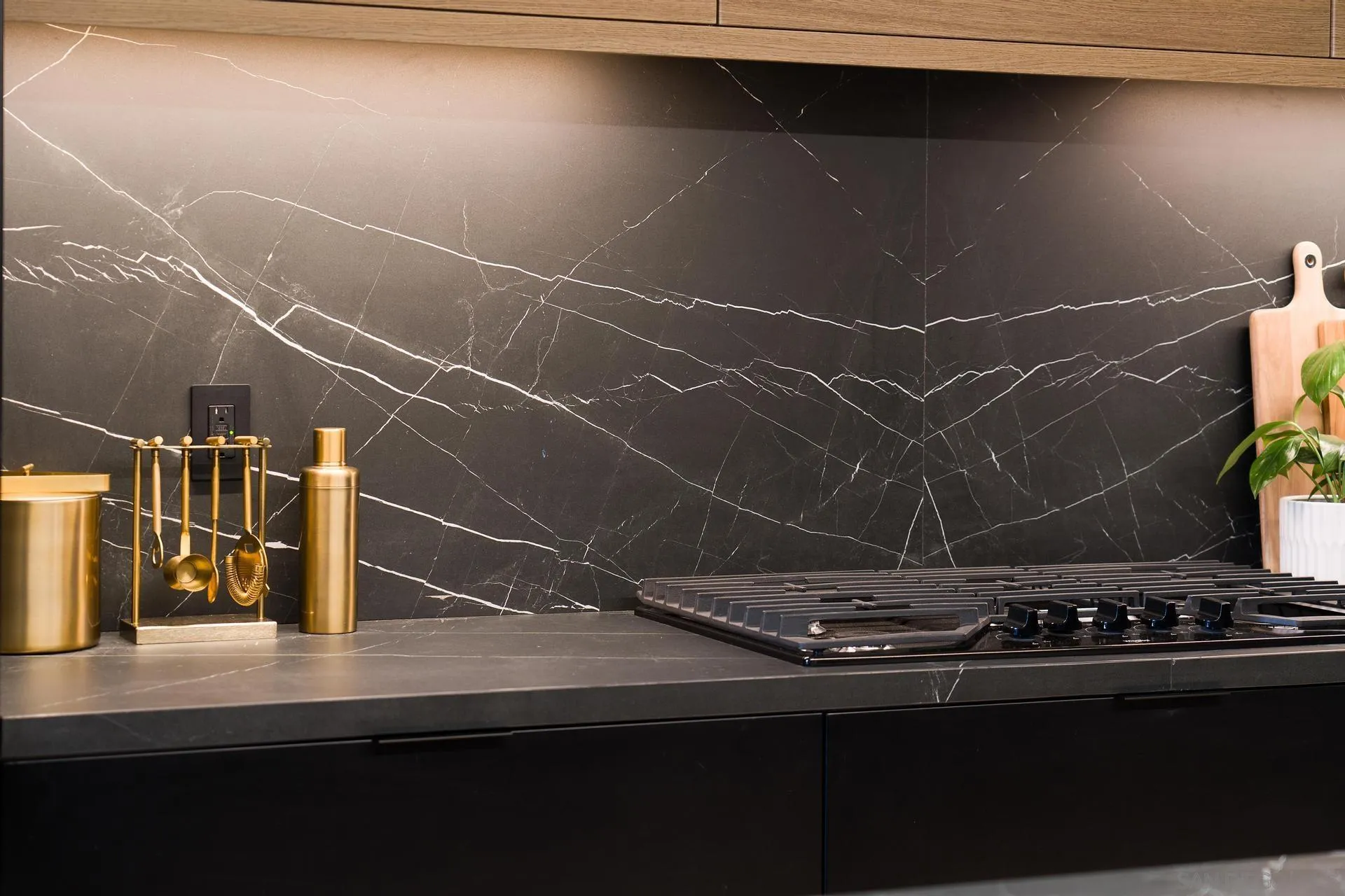 877 Island Ave Unit 908