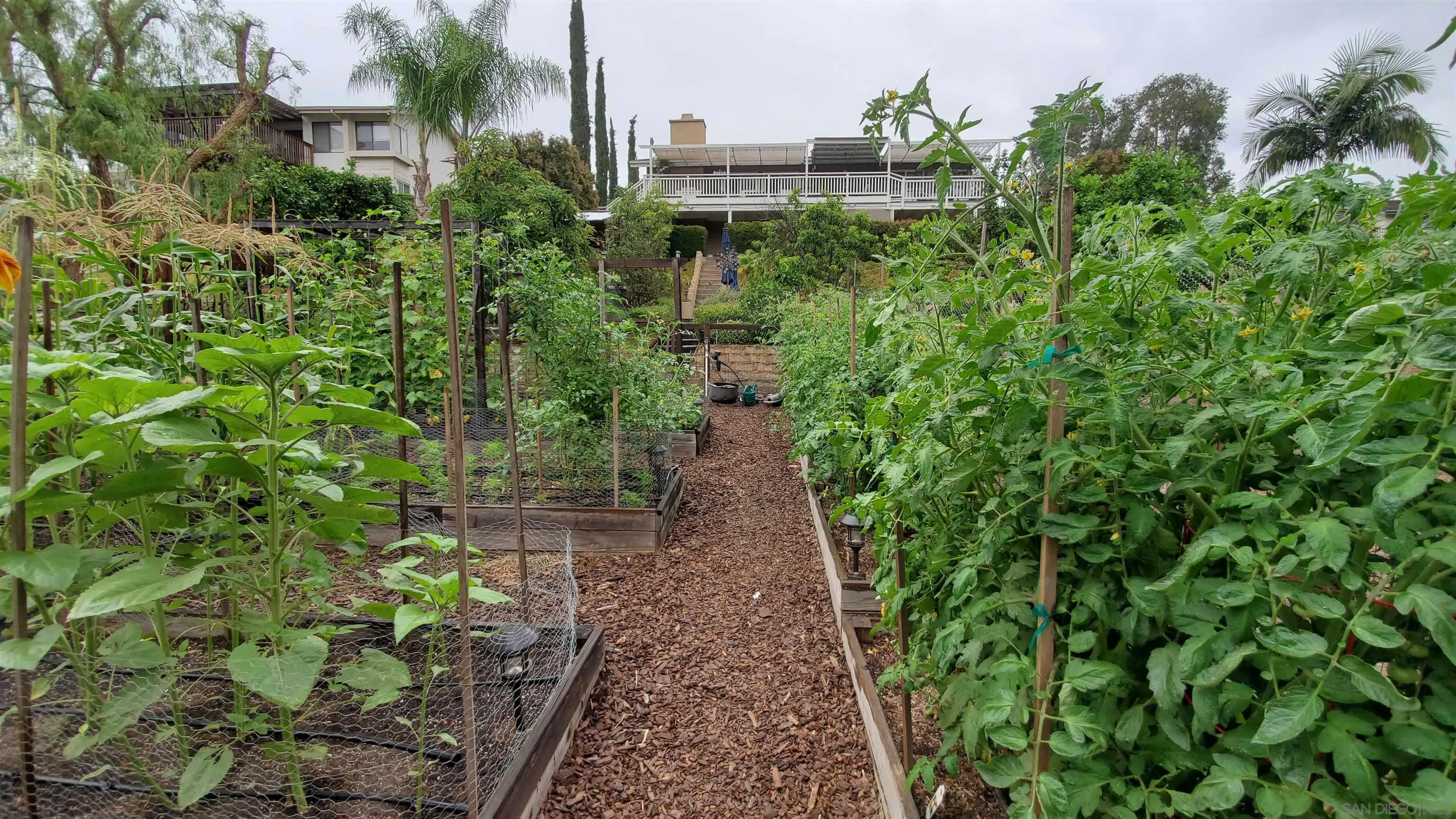 14046 Tierra Bonita Rd.