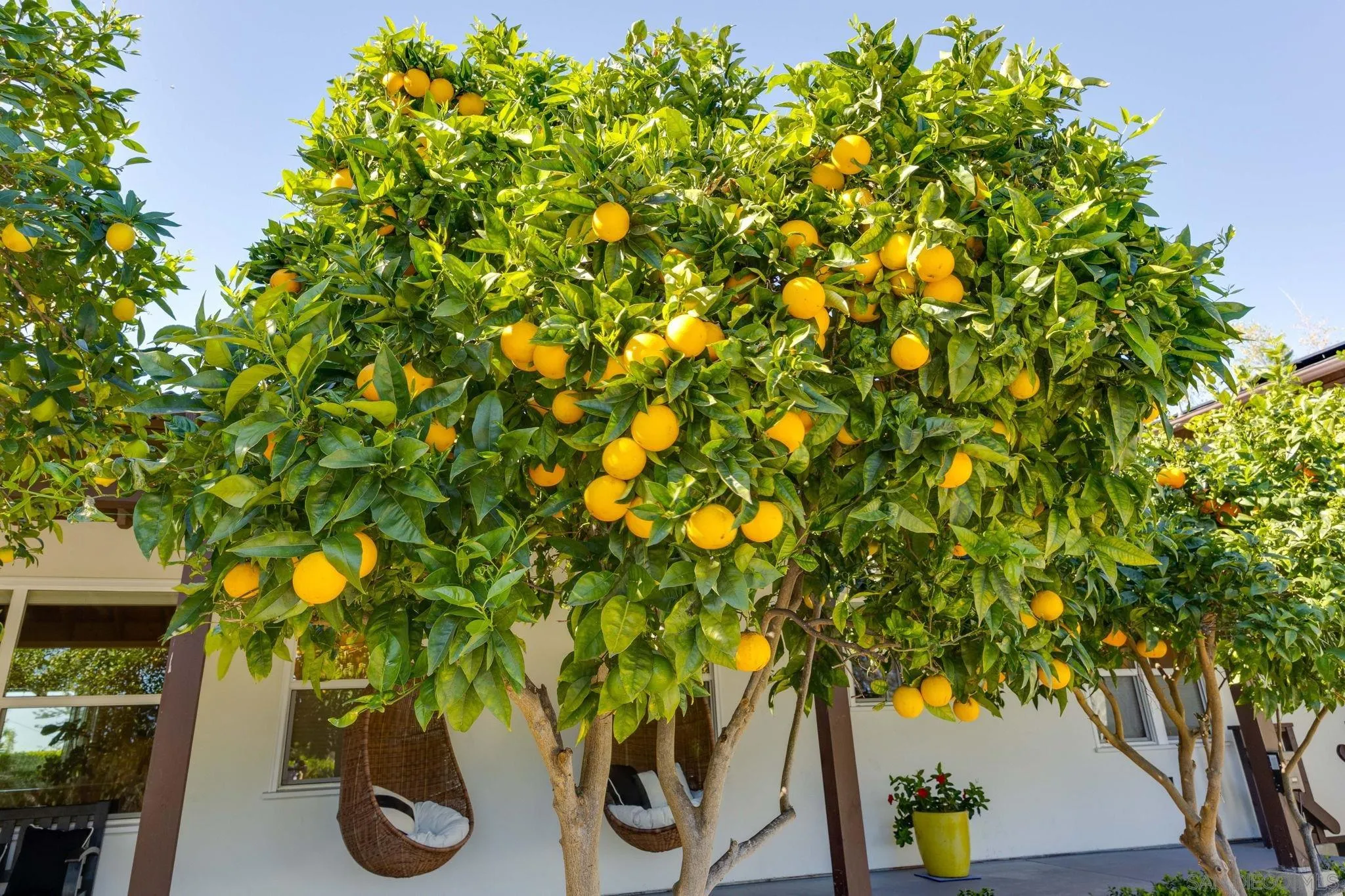 554 & 556 Stratford Dr