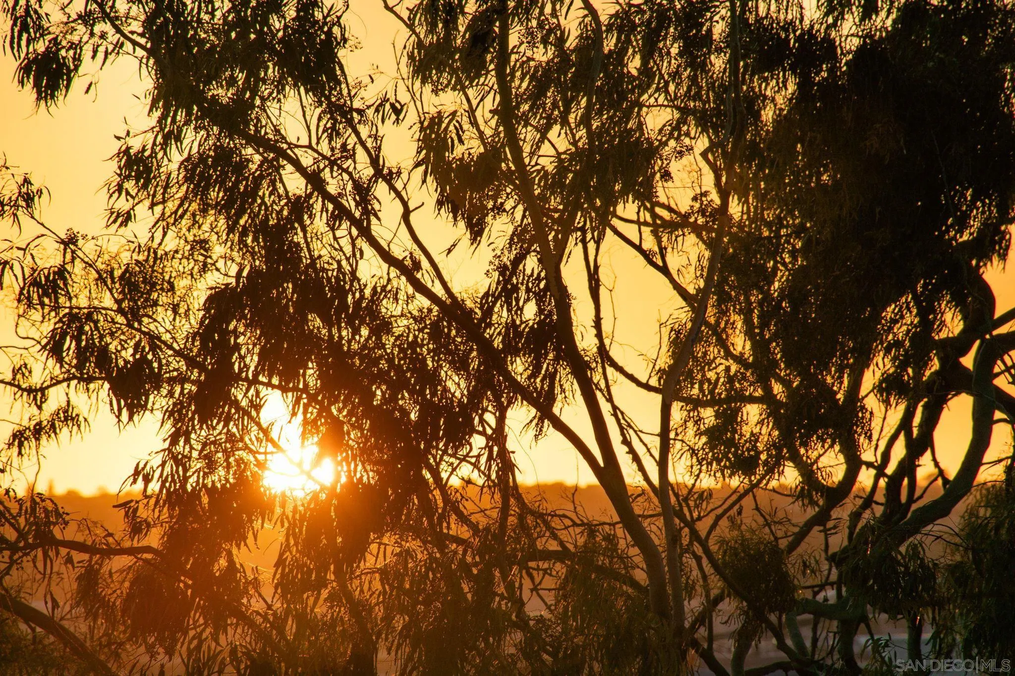 3033 India St. Unit 6