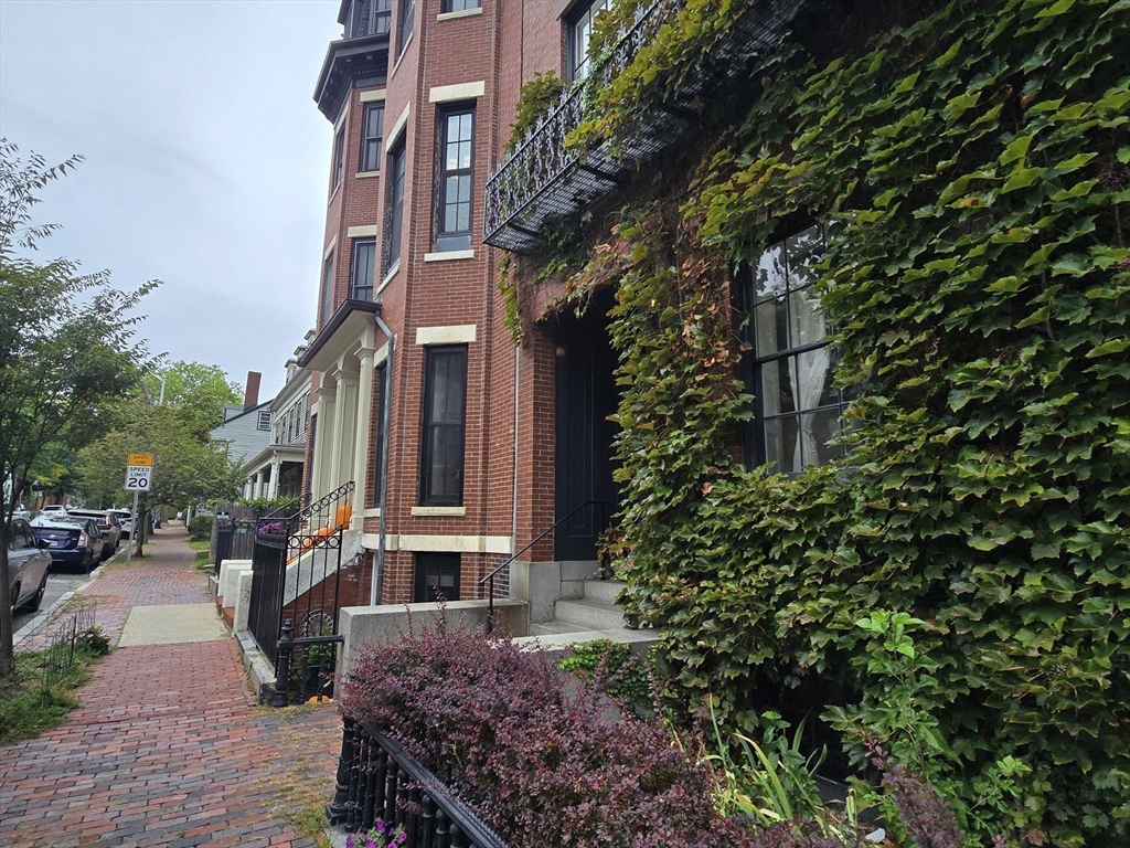 61 Otis St # 3