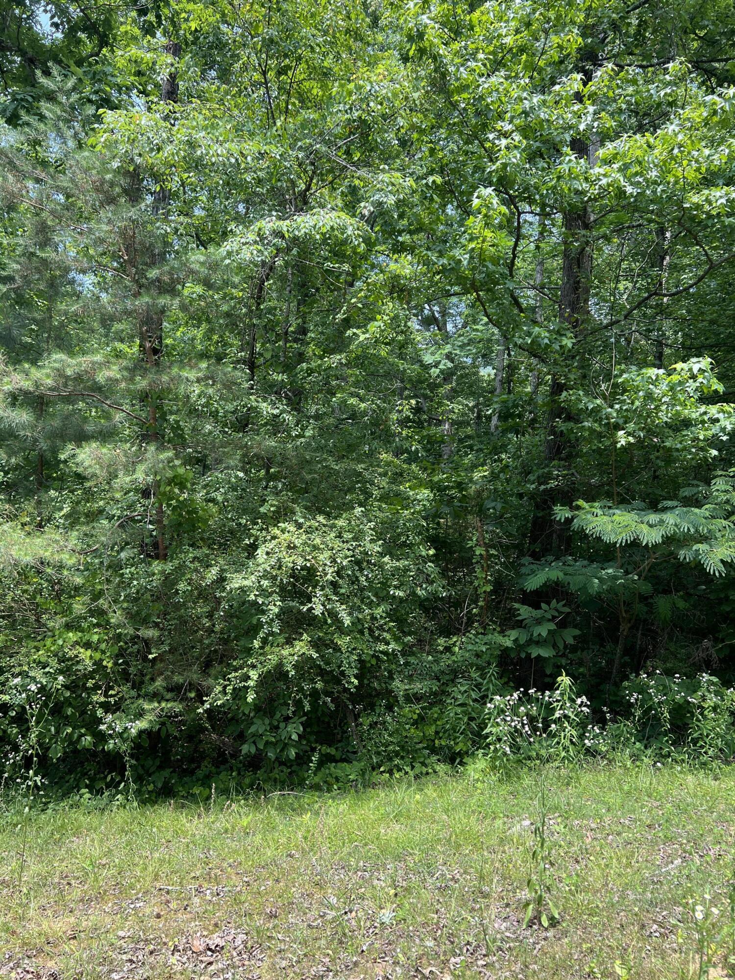 7511 Rocky Ledge Road