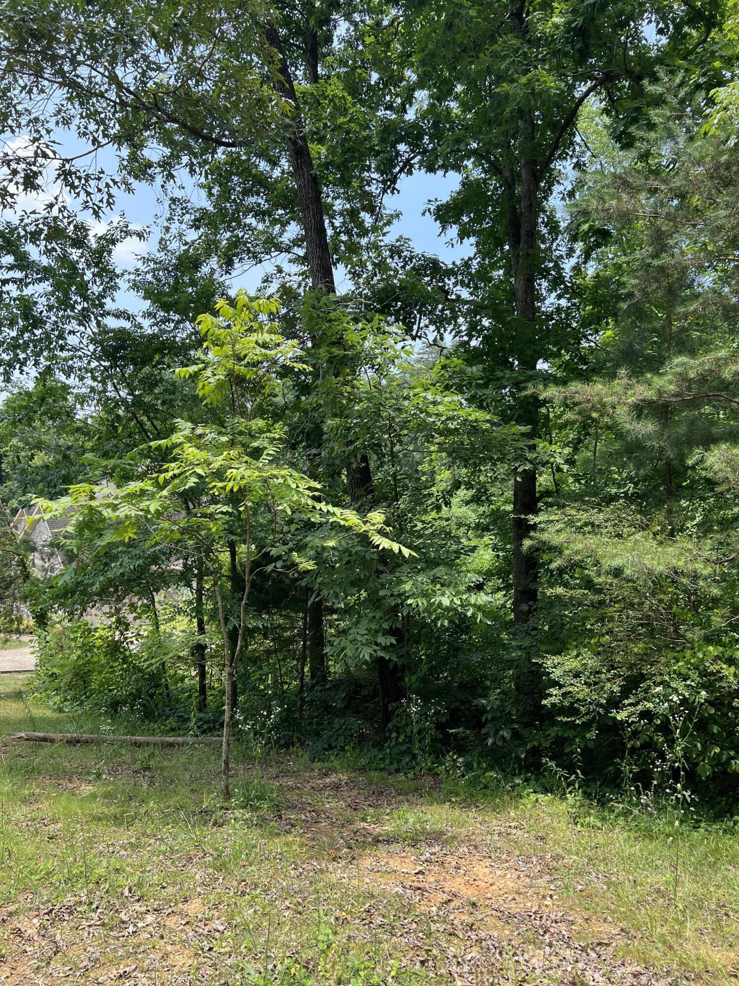 7511 Rocky Ledge Road