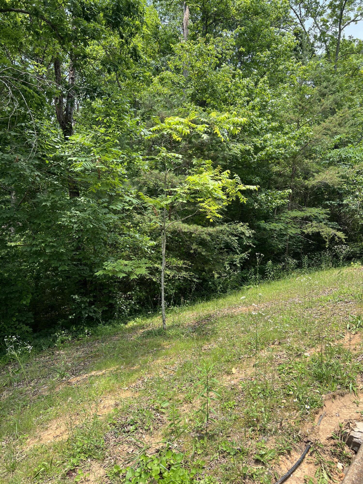 7511 Rocky Ledge Road