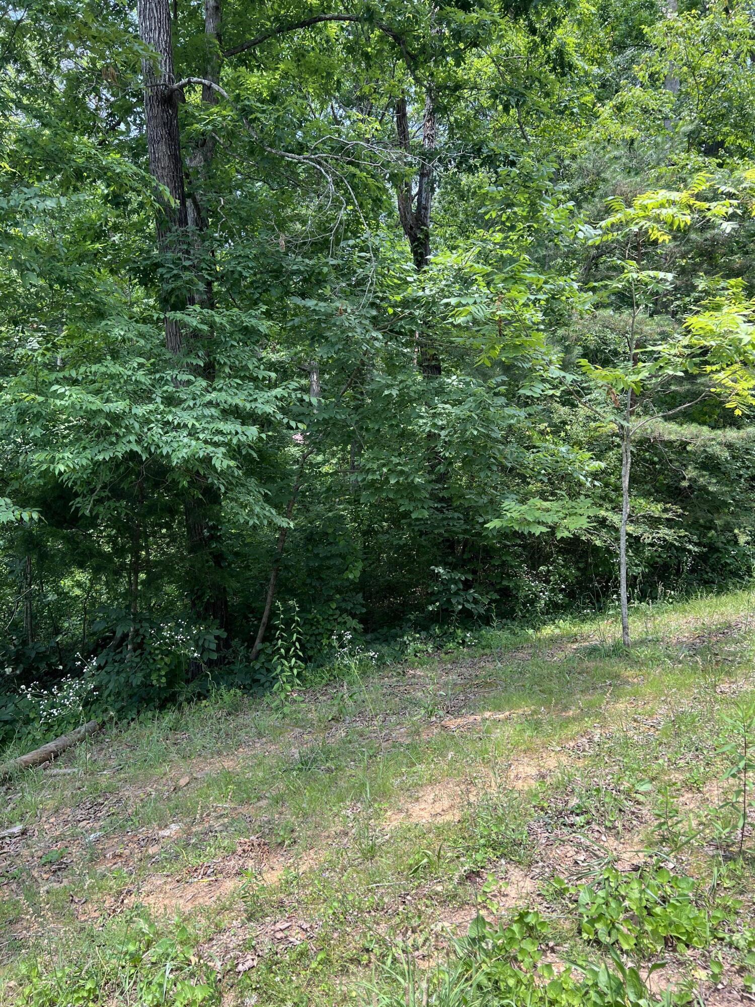 7511 Rocky Ledge Road
