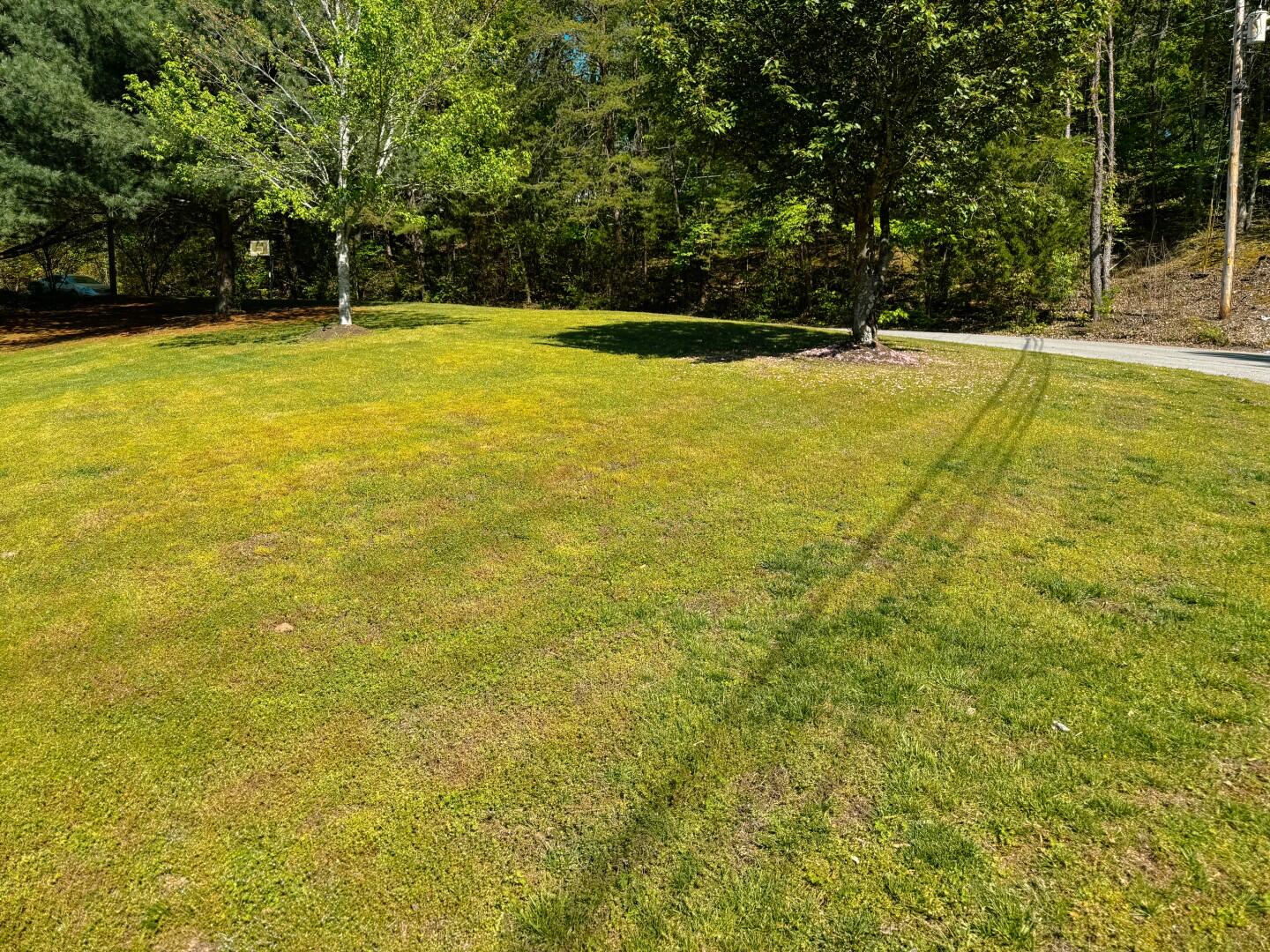 438 Sandalwood Drive