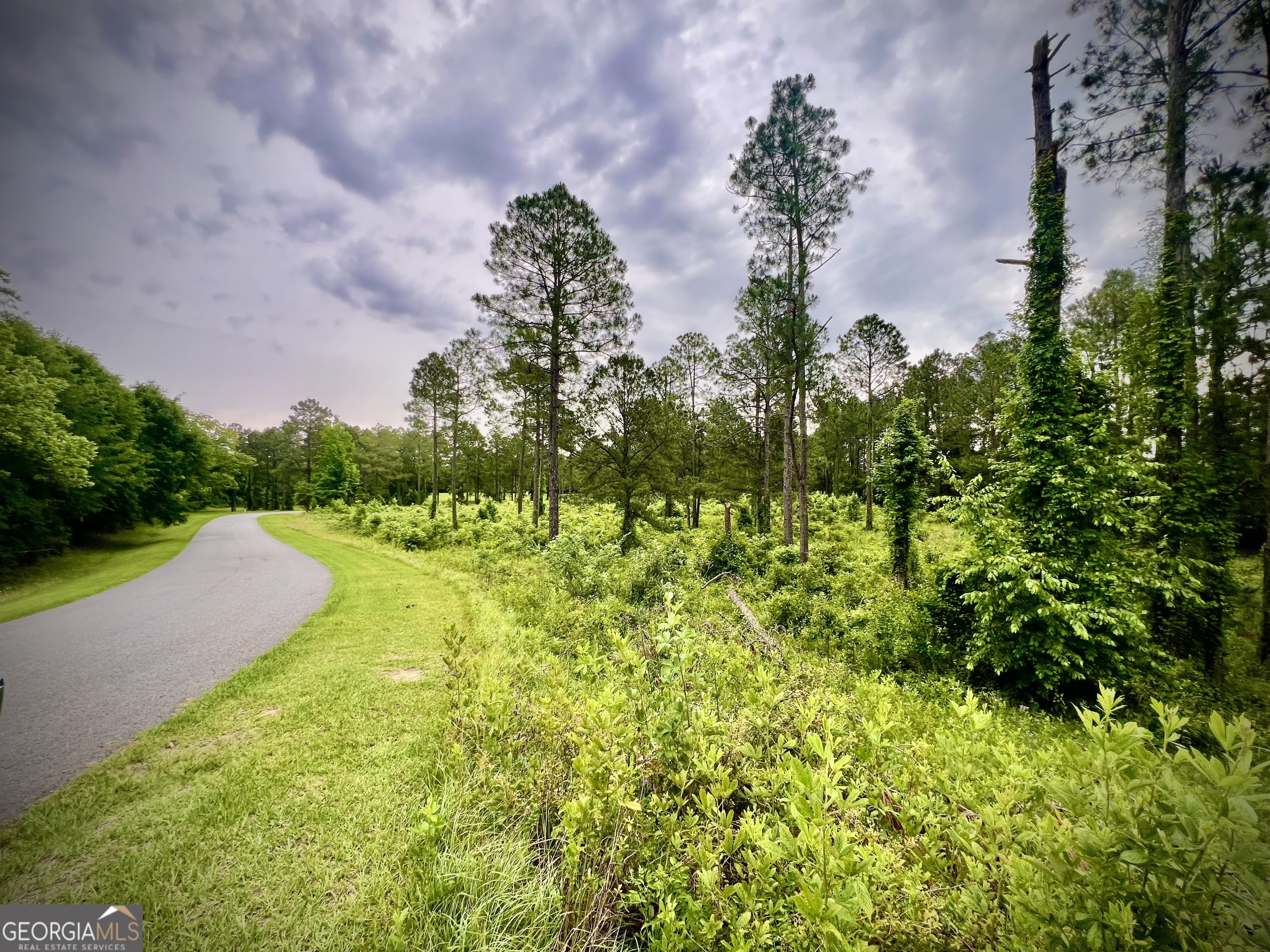 0 Walke Dairy Road