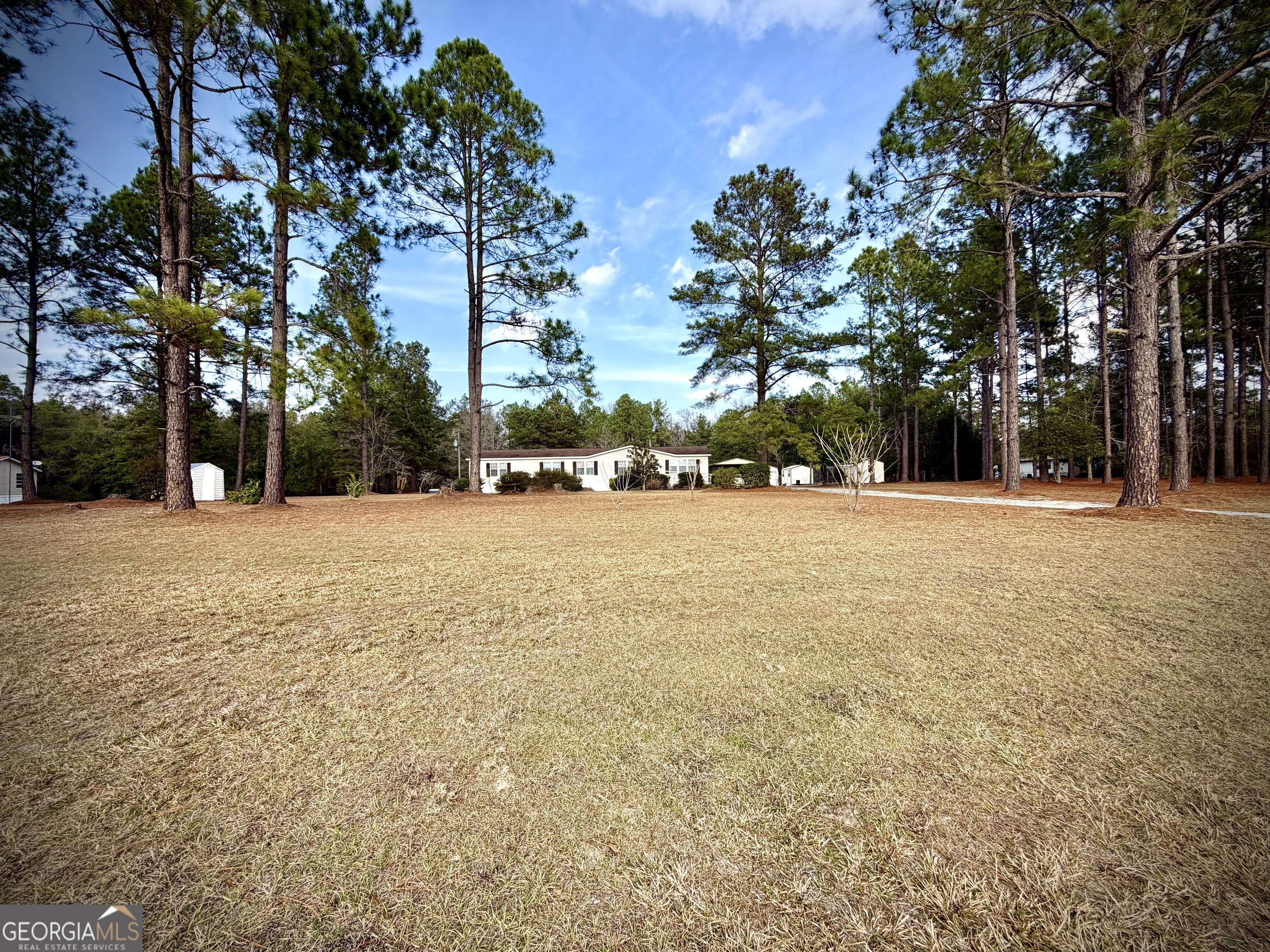 2019 Scharie Lane