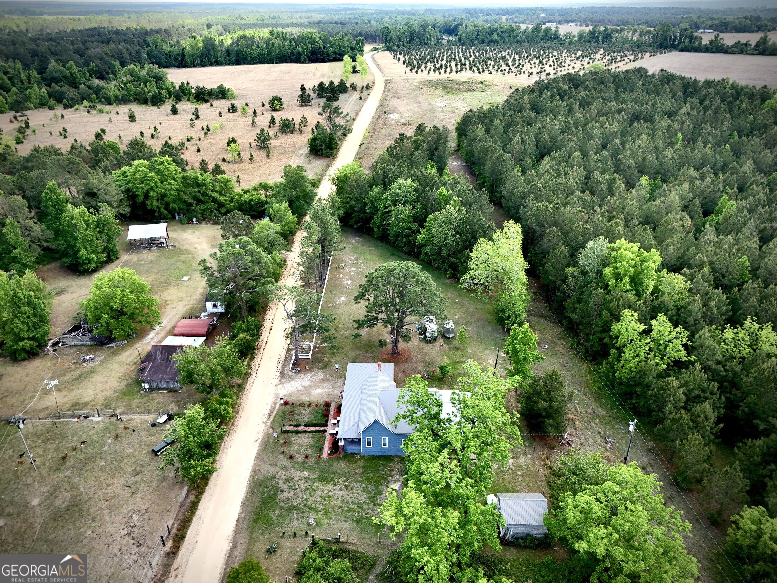 Rural property with a blue house, outbuildings, and a dirt road surrounded by fields and woodland.