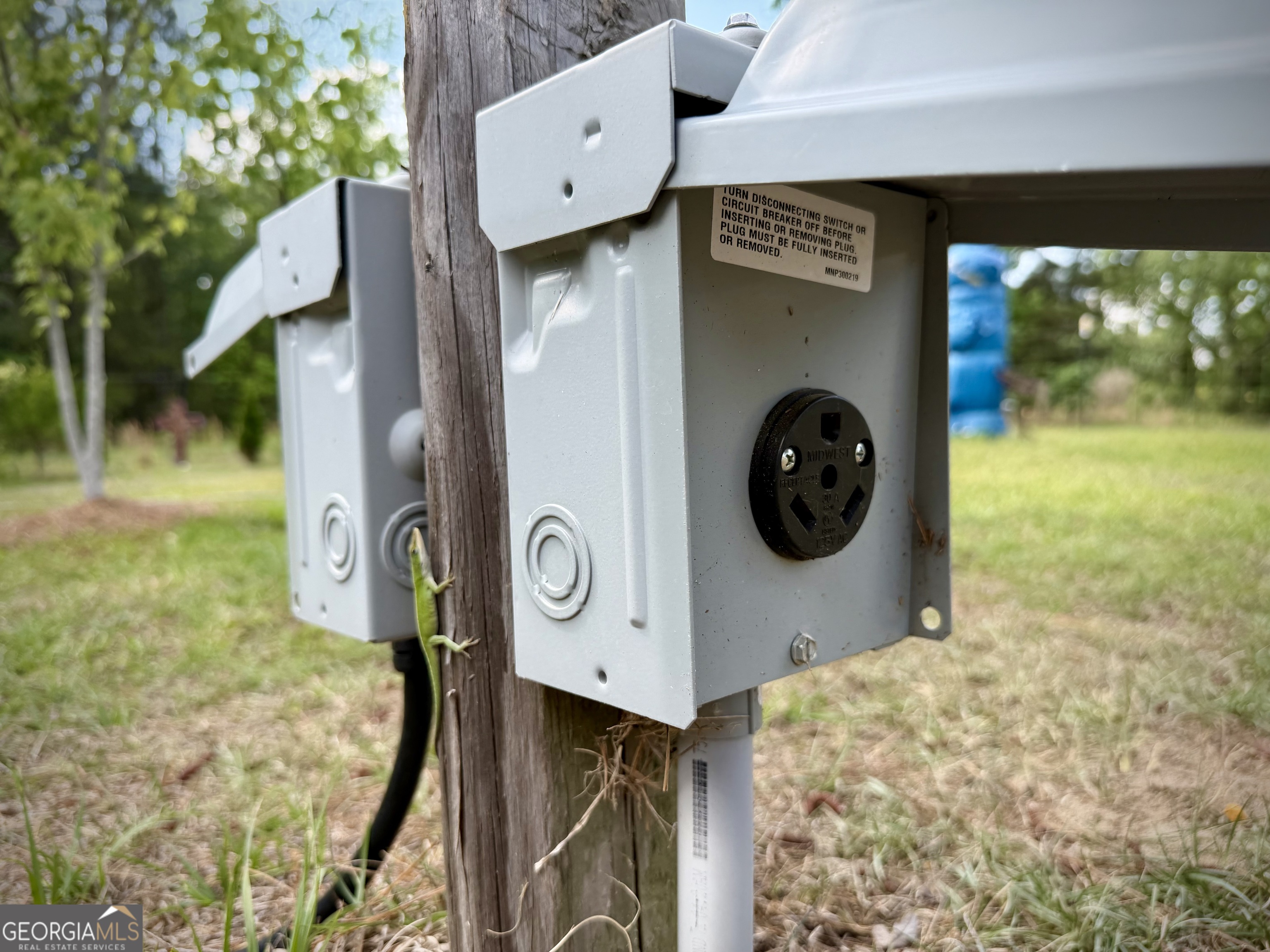 Outdoor electrical box with a round outlet on a wooden post, with a green lizard climbing beside it.