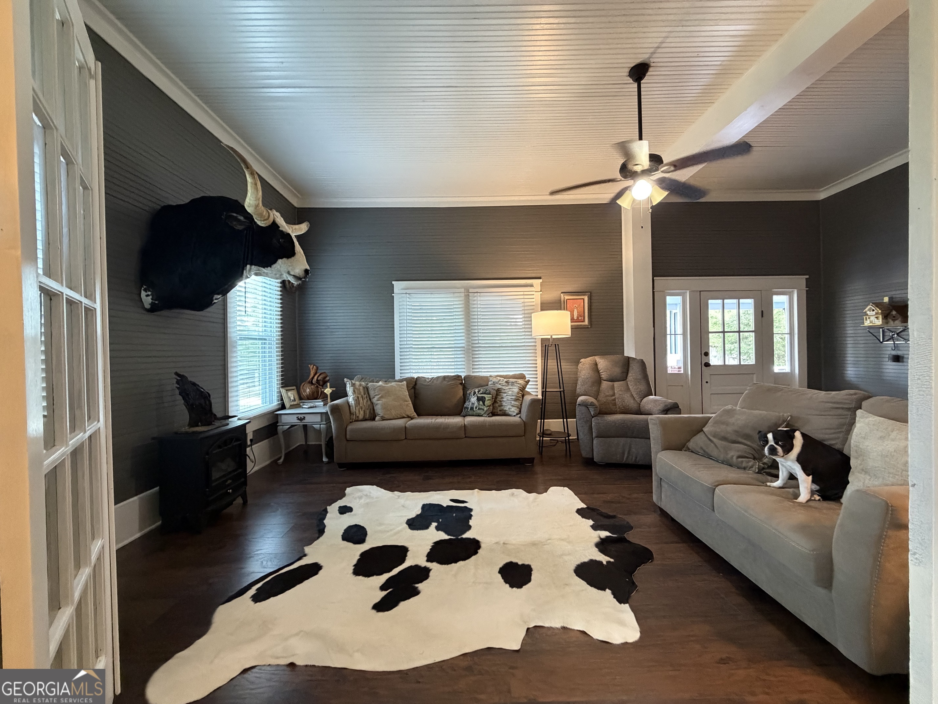 Living room with gray sofas, a cowhide rug, a mounted longhorn head, and a dog on the sofa.