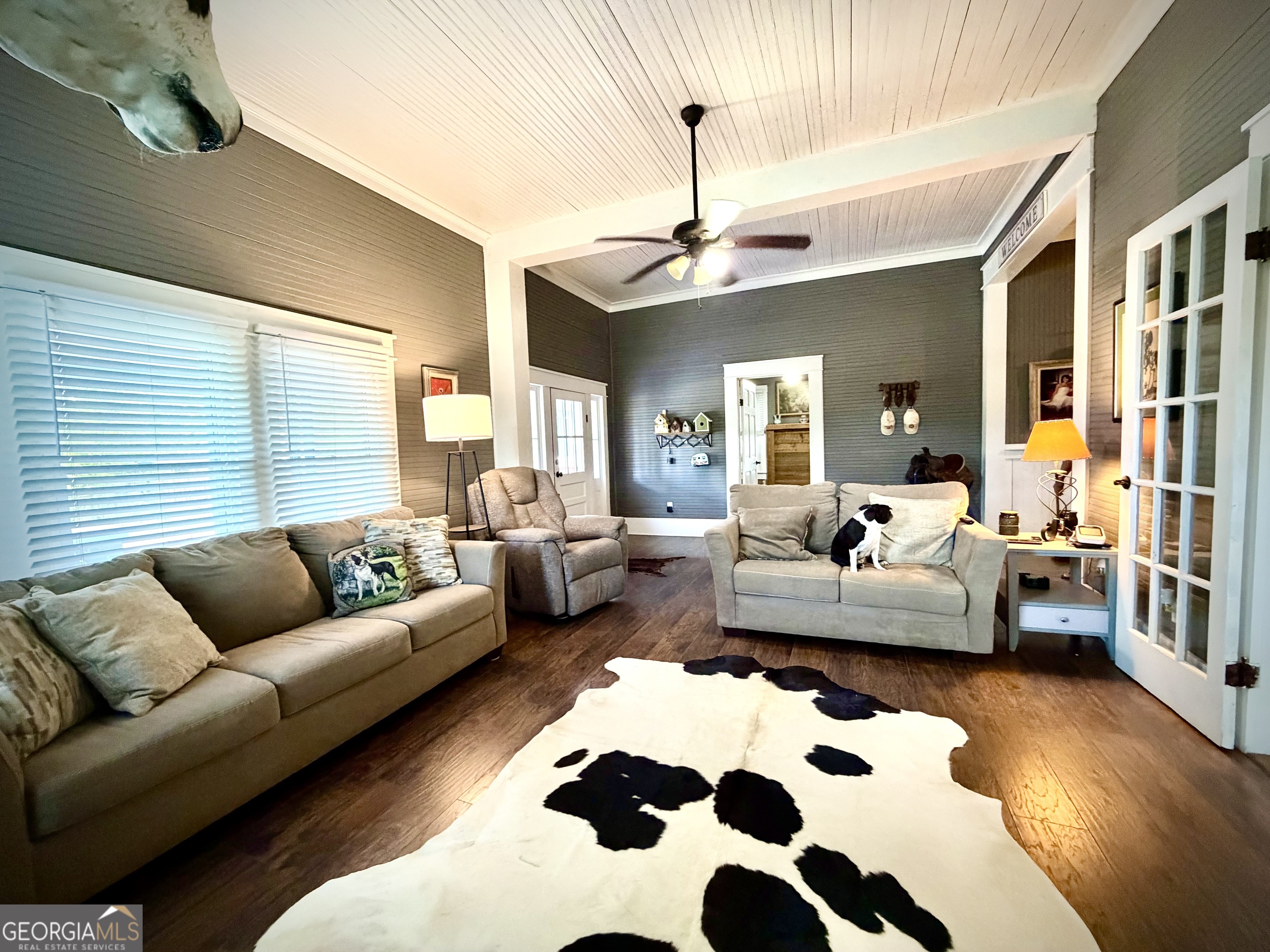 Living room with a beadboard ceiling, cowhide rug, and a small dog on the sofa.