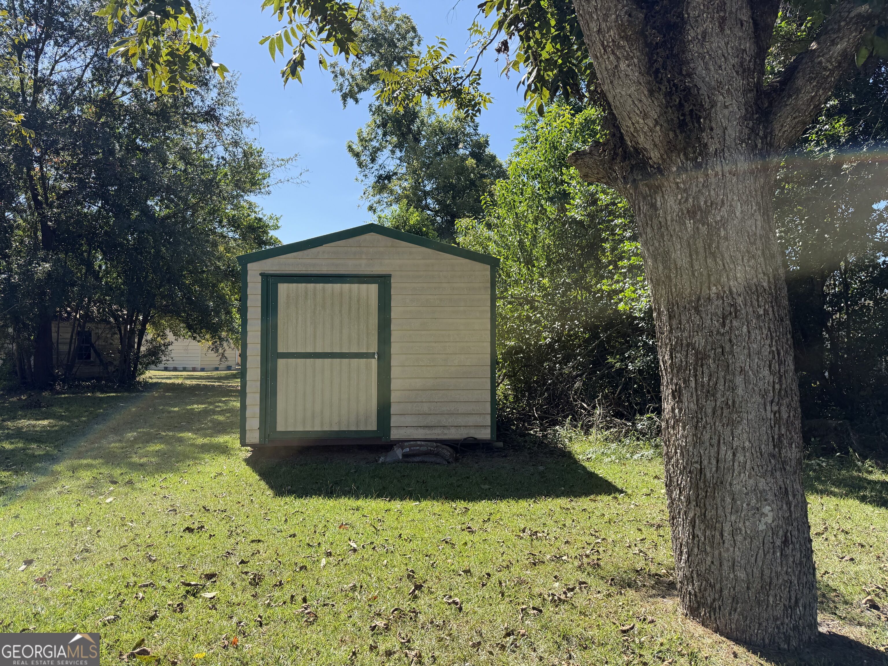 Beige storage shed with green trim in a shaded yard beside a large mature tree.