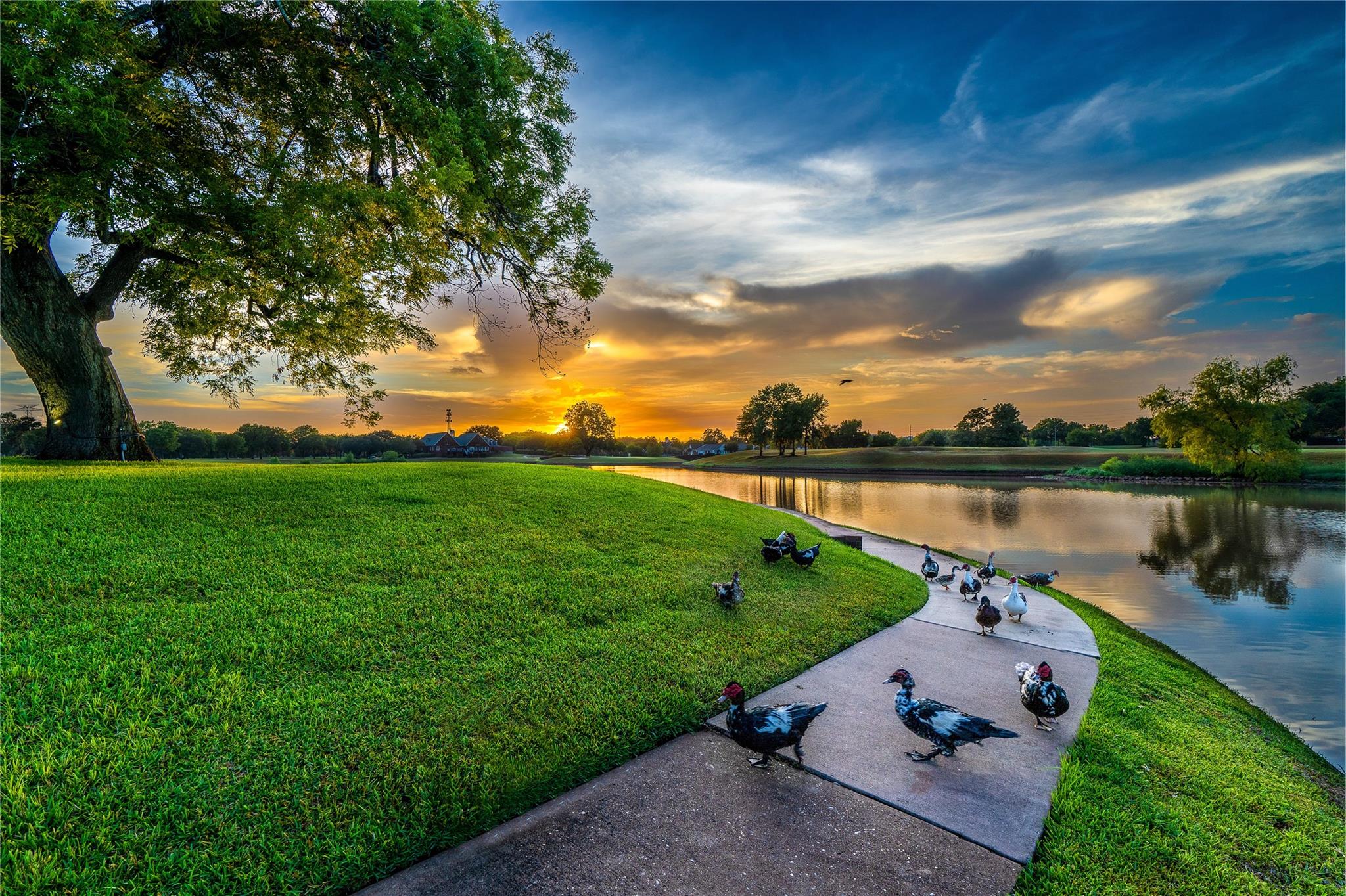 2202 Summer Wind Drive