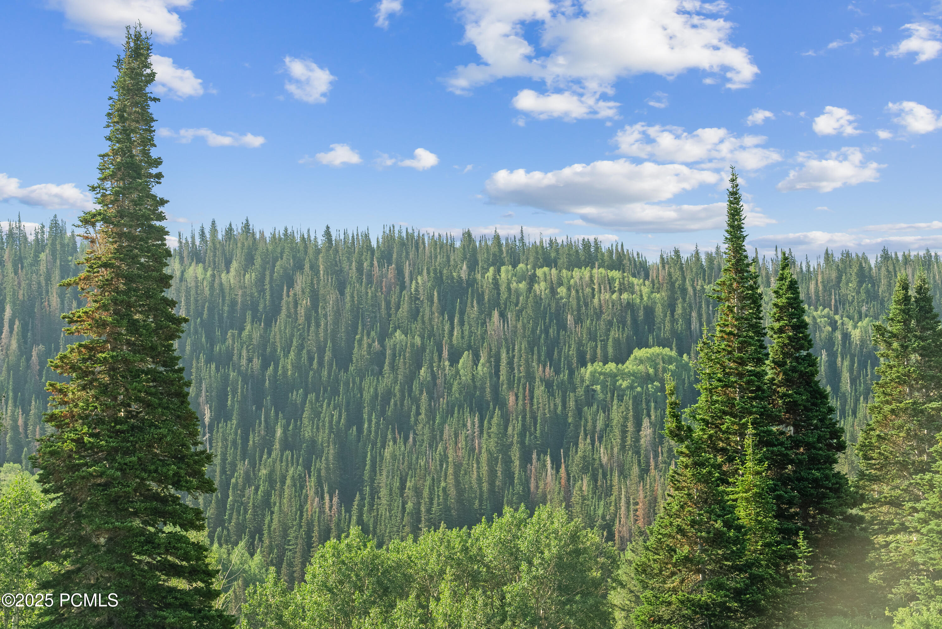 322 White Pine Canyon Road, 322