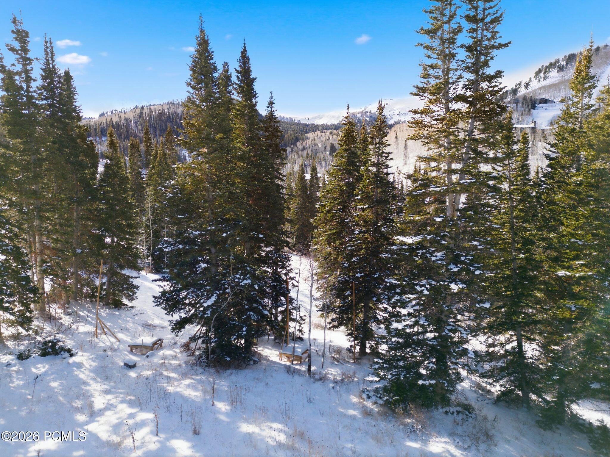 Snow-covered wooded property with a clearing, evergreen trees, and snowy mountain slopes in the distance.