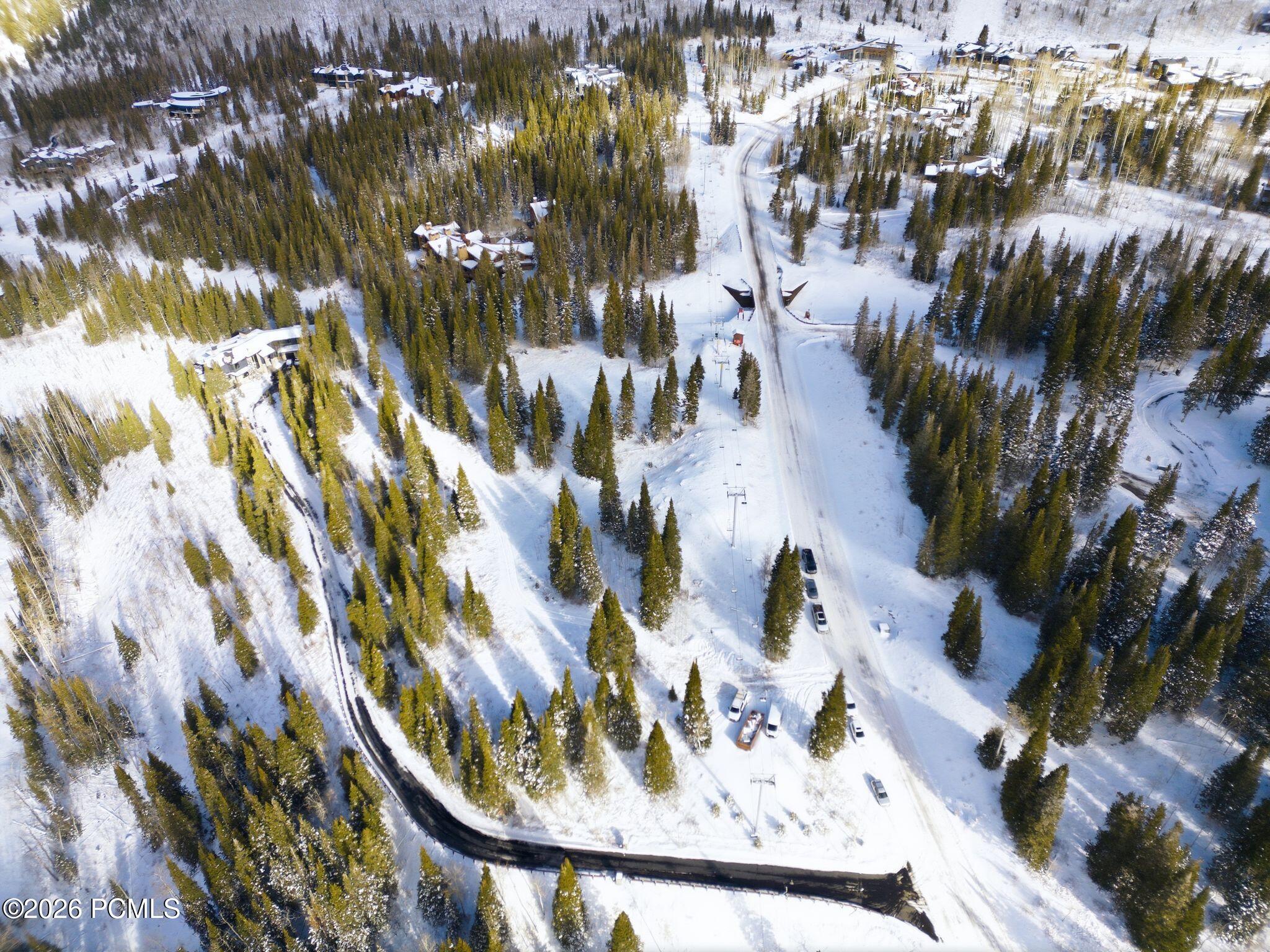 Snow-covered homes among evergreen trees, viewed from above with a winding road through the neighborhood.