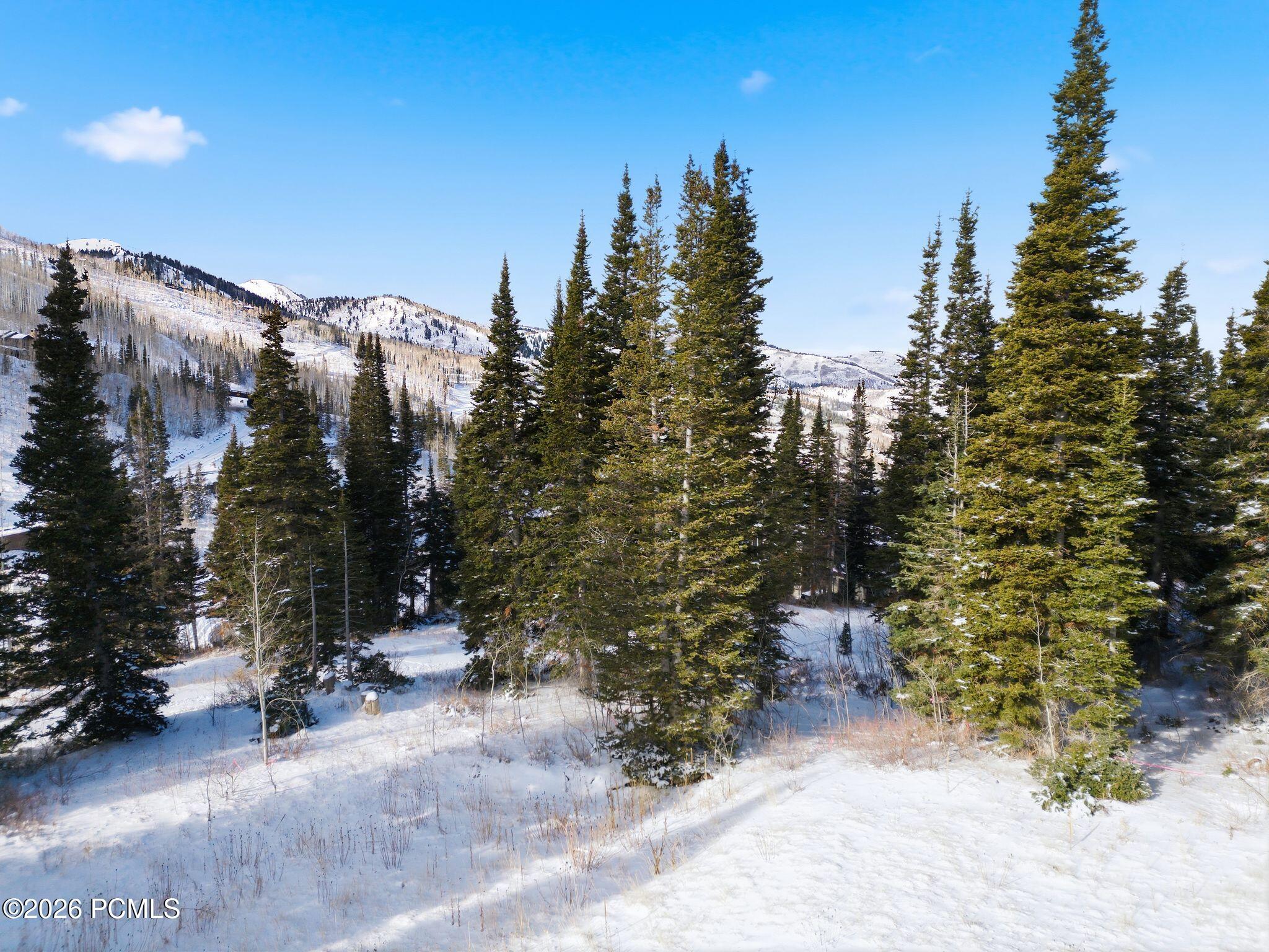 Snowy wooded property with tall evergreens and mountain views.