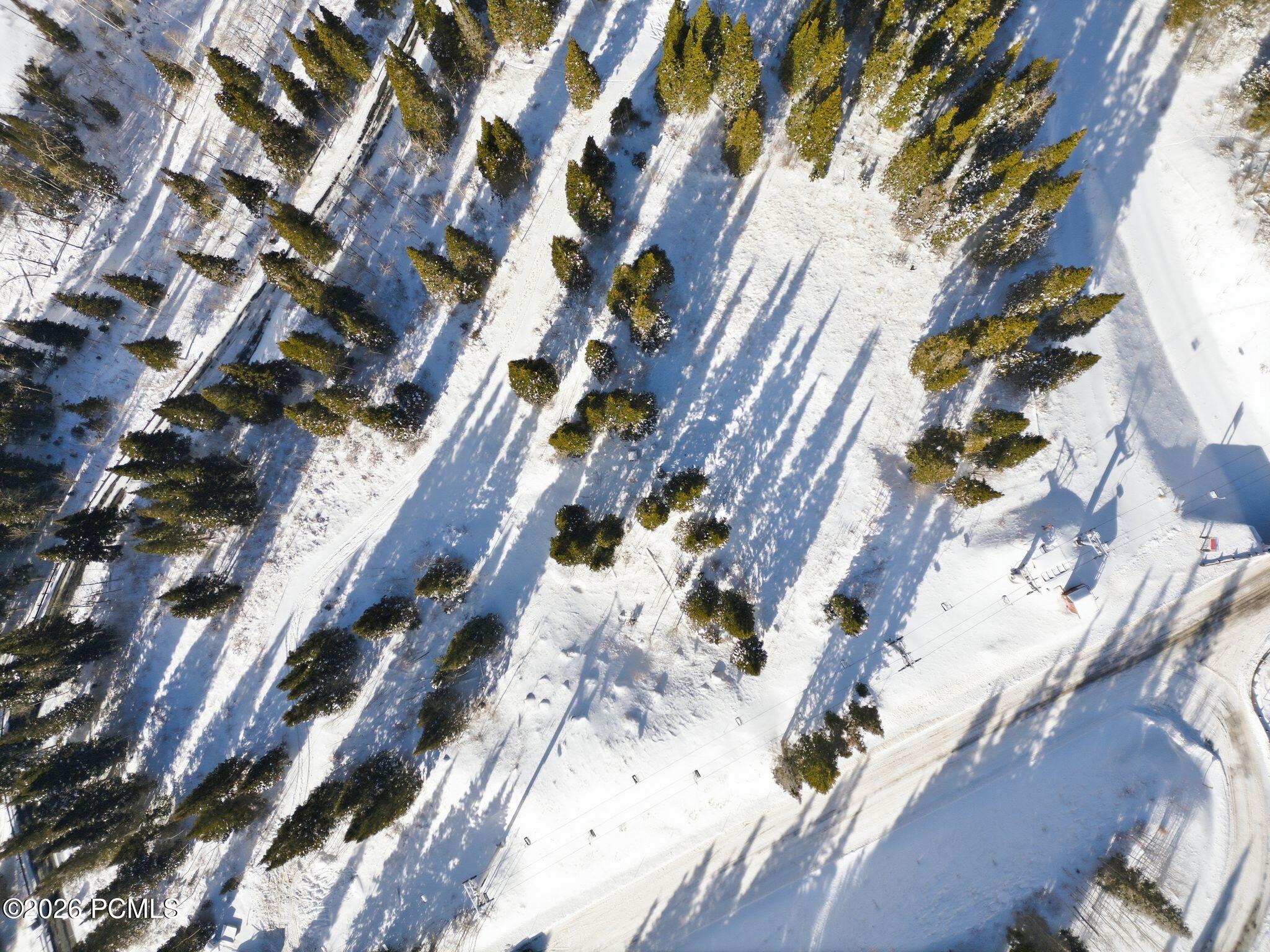 Snow-covered, tree-dotted property with ski lift infrastructure and roads.