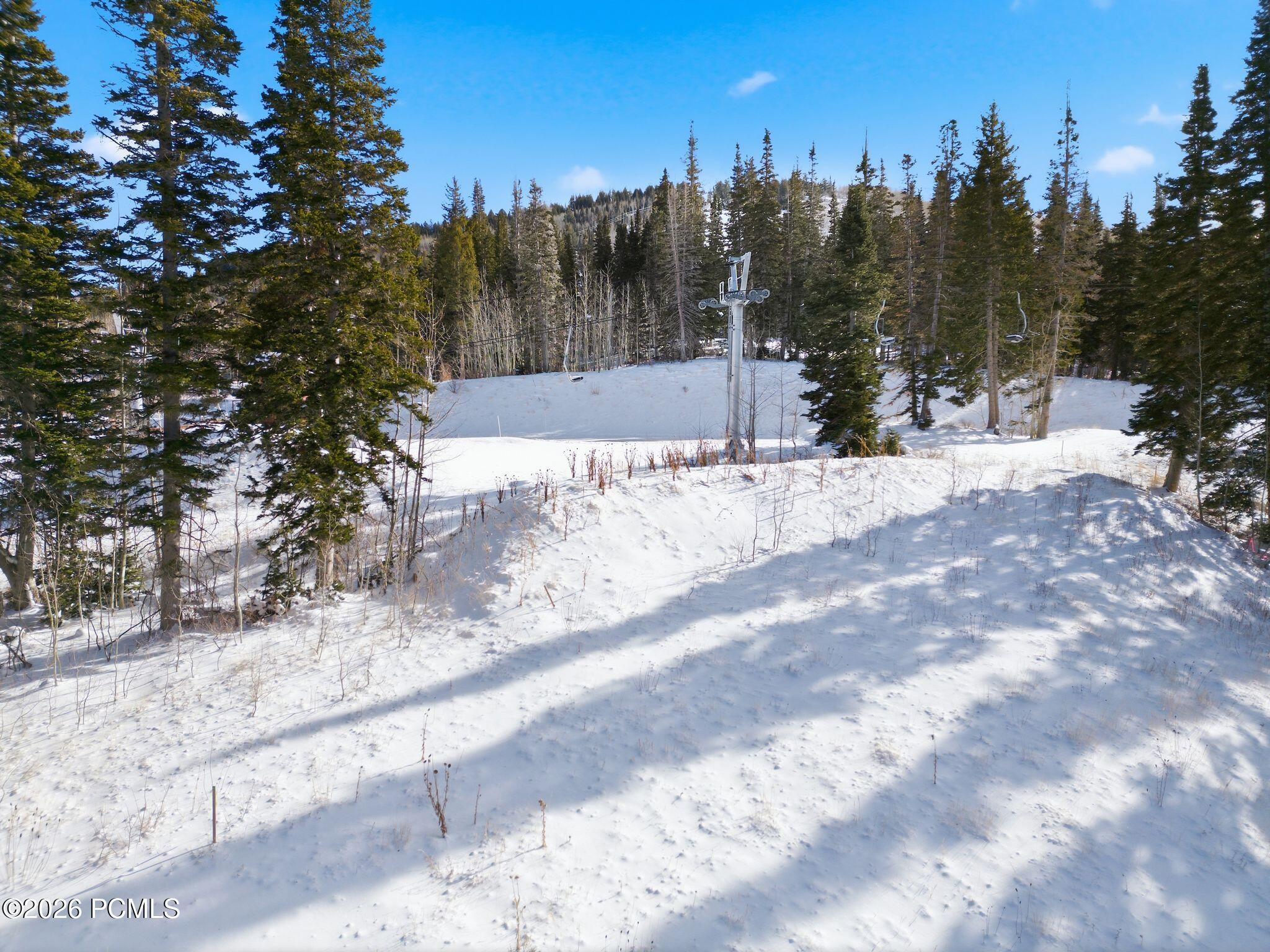Snow-covered wooded ski slope with chairlift towers among evergreen trees.