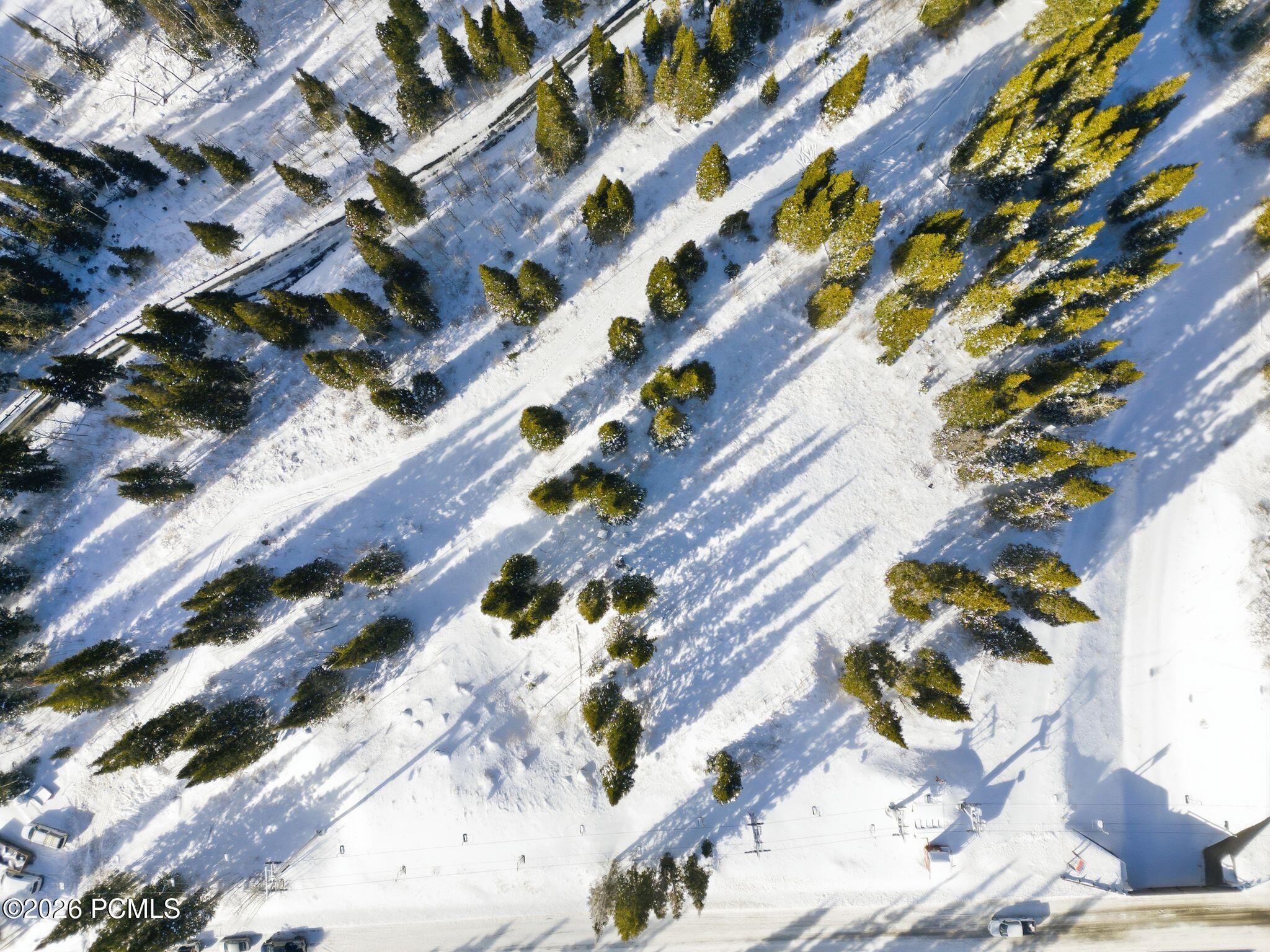 Aerial view of snowy evergreen forest, with buildings and a road along the property’s edge.