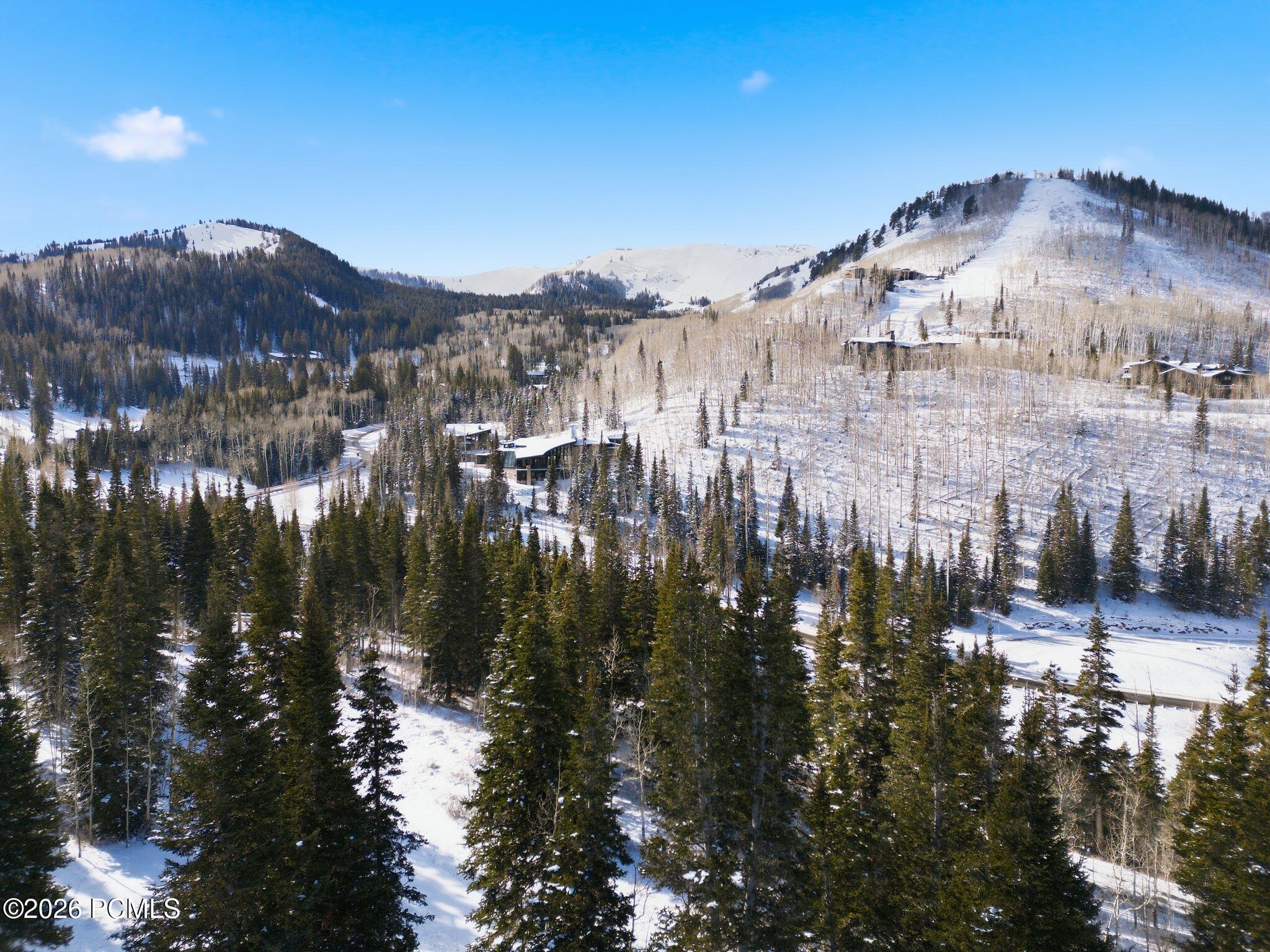 Aerial view of a snow-covered mountain neighborhood among evergreen and leafless trees.
