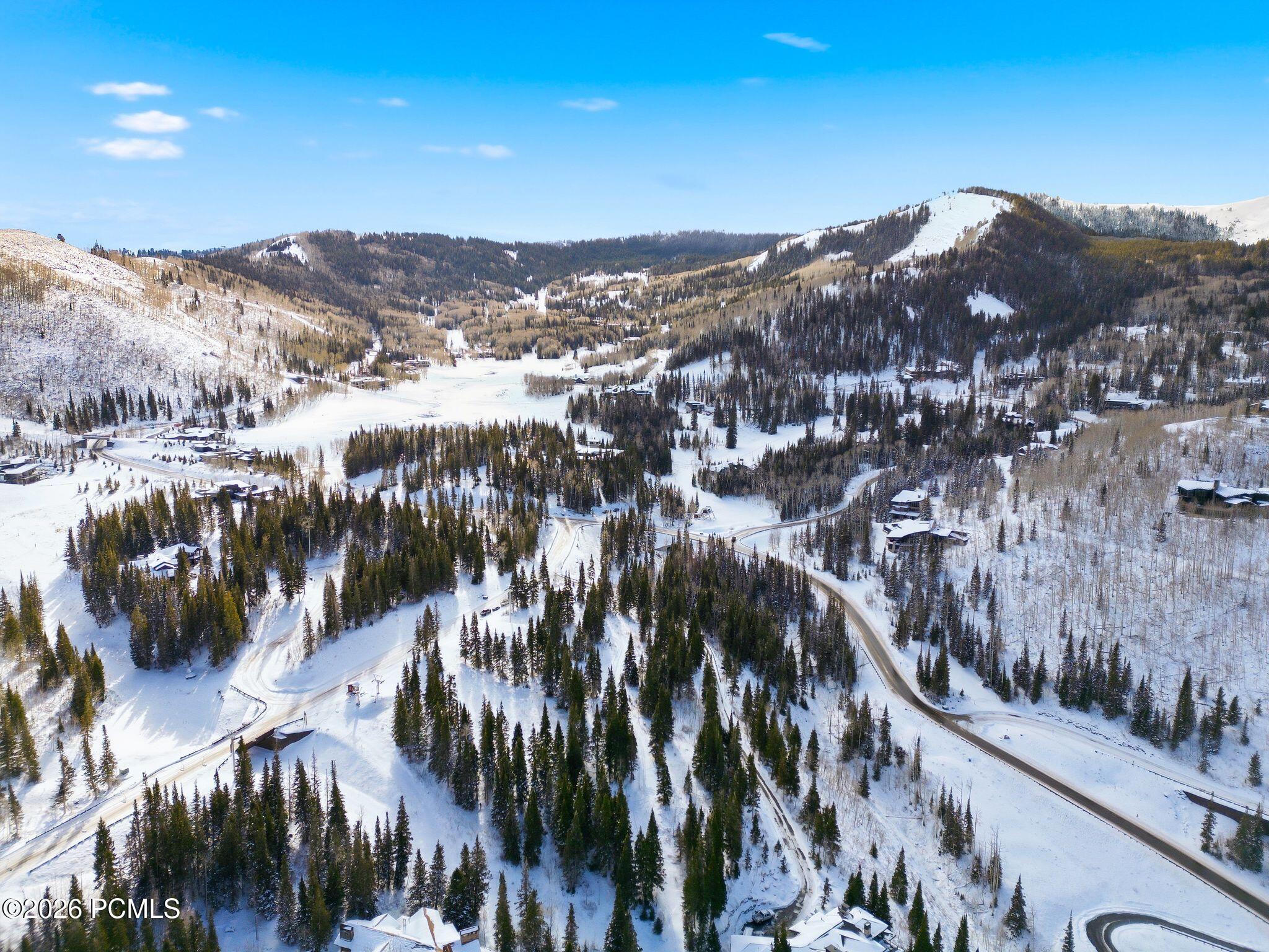 Snowy mountain neighborhood with homes, evergreen forest, winding roads, and ski runs.