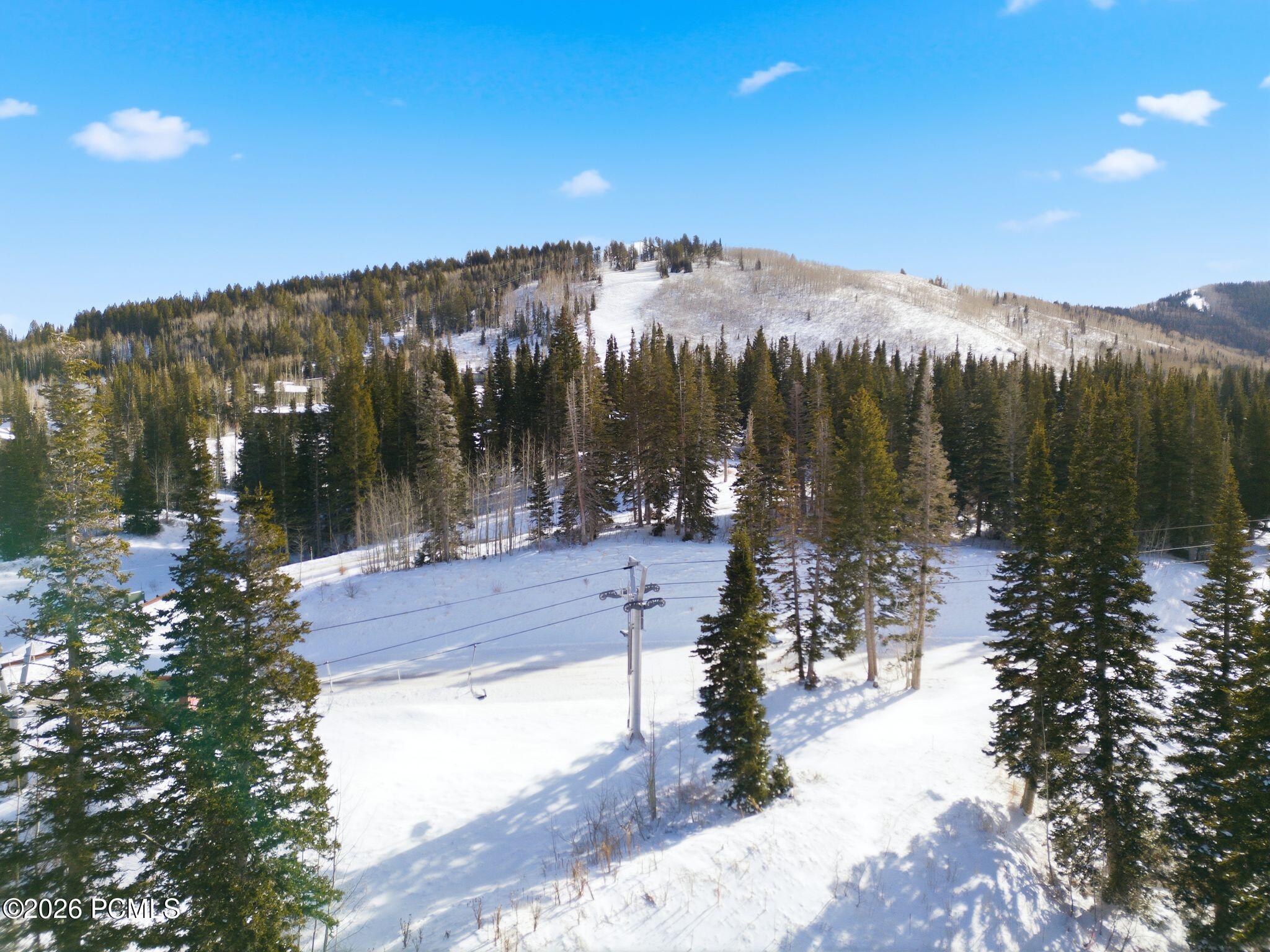 Snow-covered mountain property bordered by evergreen trees, with a ski run on the hillside.