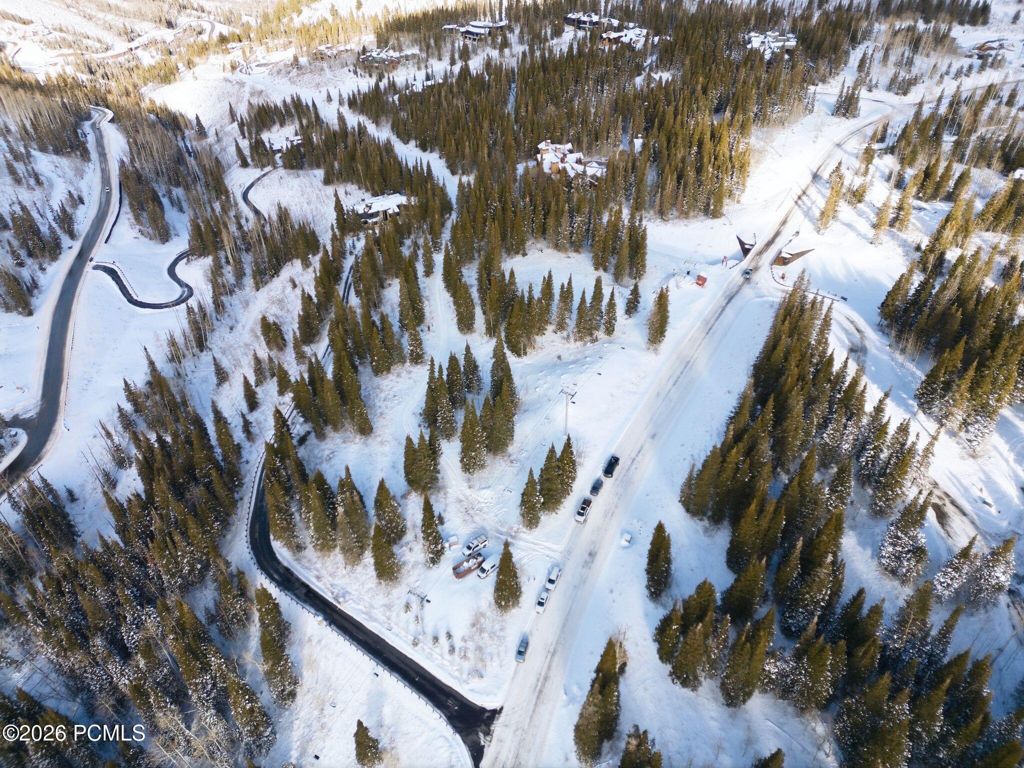 Aerial view of snow-covered homes and winding roads among evergreen trees.