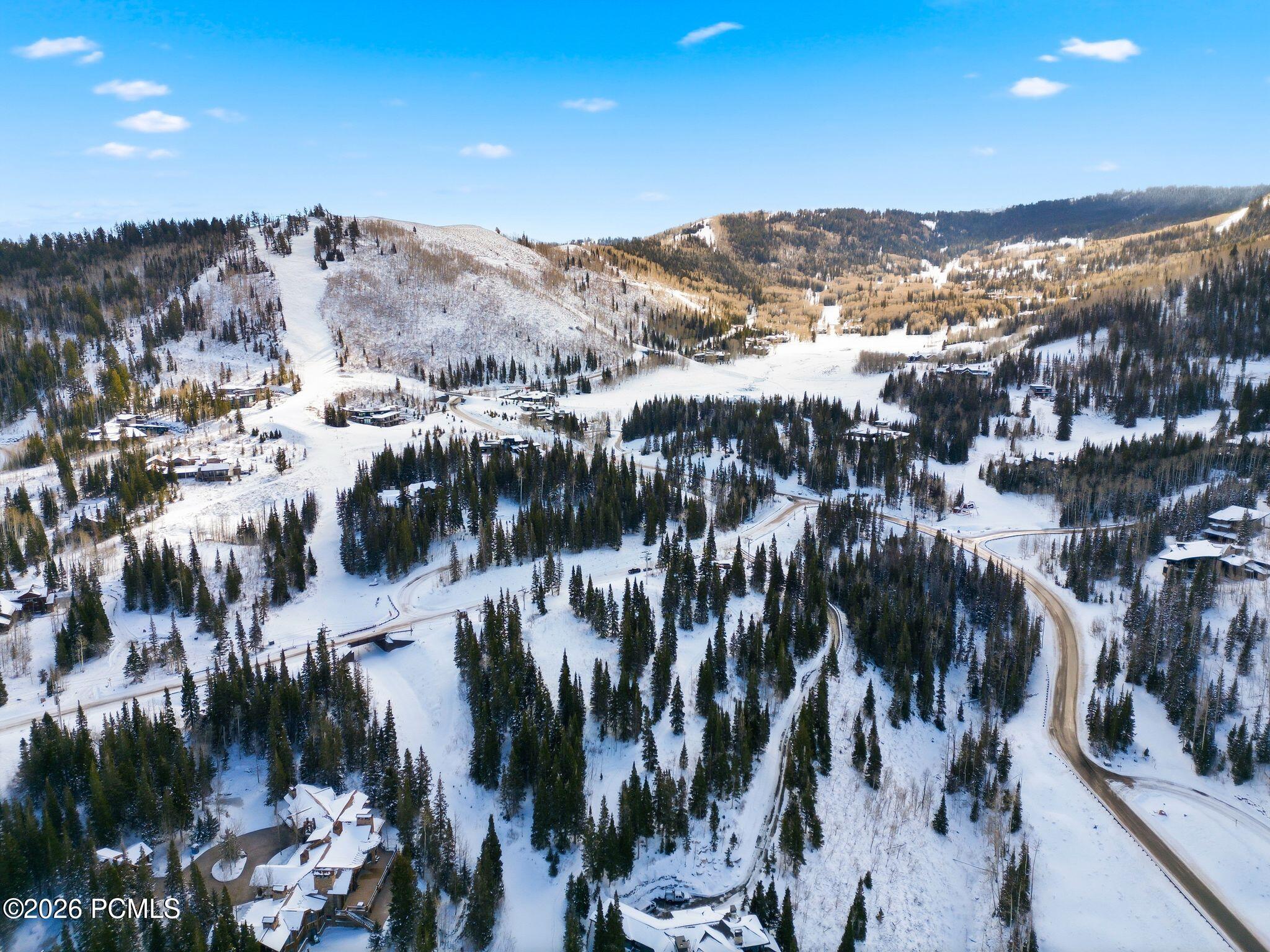 Snowy mountain neighborhood with scattered homes, evergreen forest, winding roads, and ski runs.