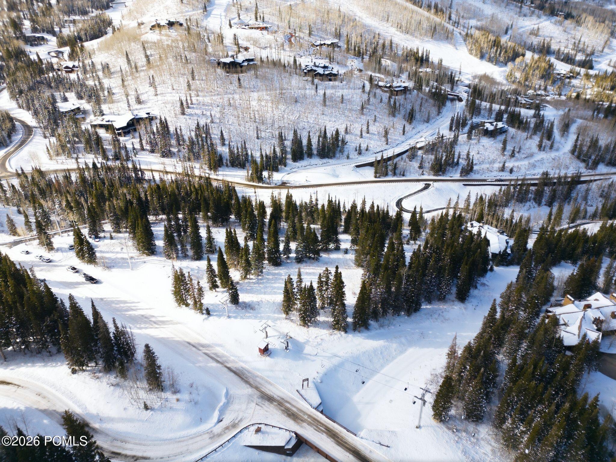 Aerial view of snow-covered homes among evergreens, with winding roads crossing the wooded neighborhood.