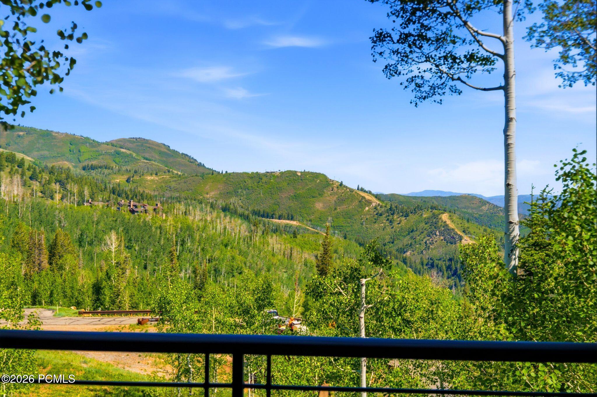 39 White Pine Canyon Road