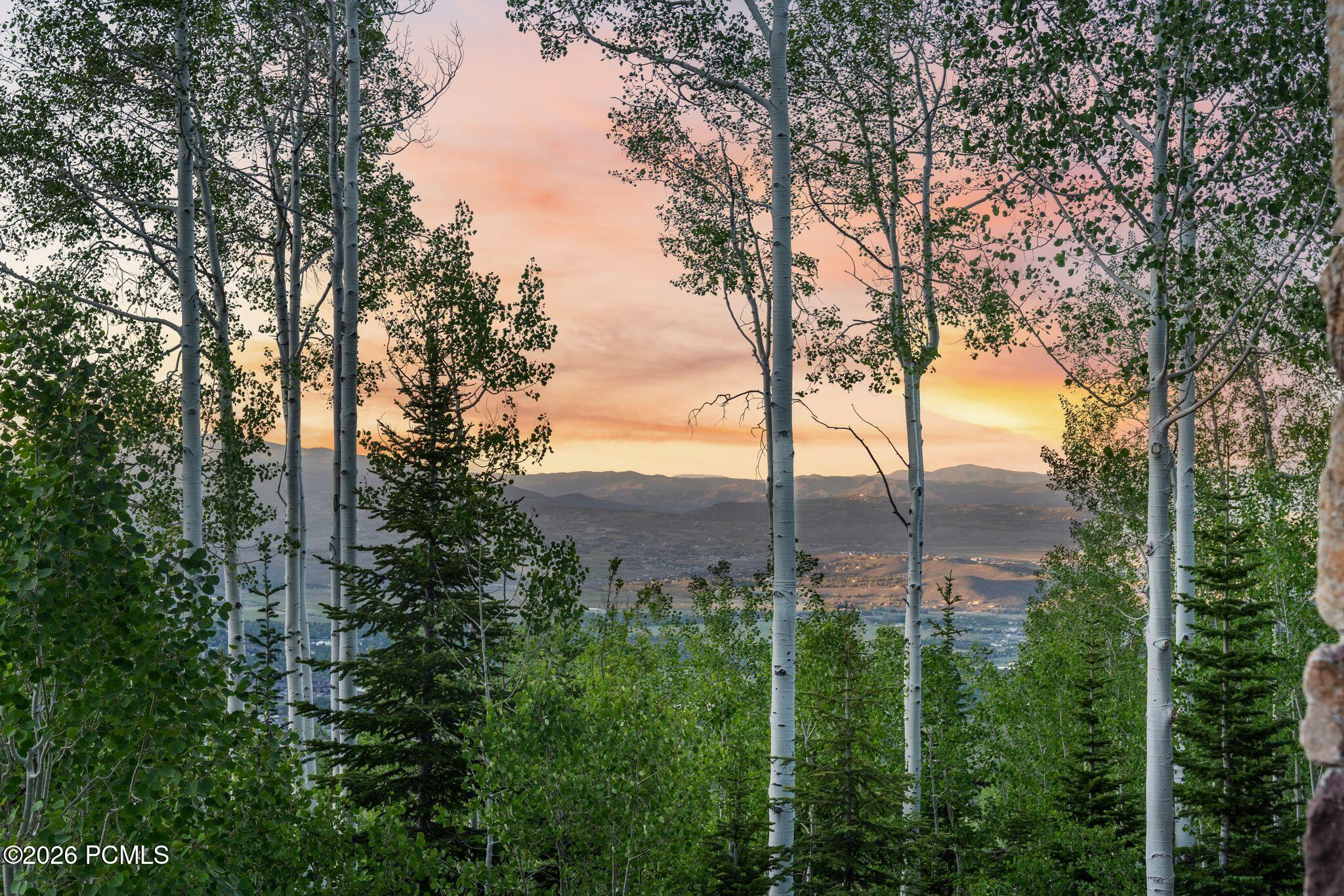 39 White Pine Canyon Road